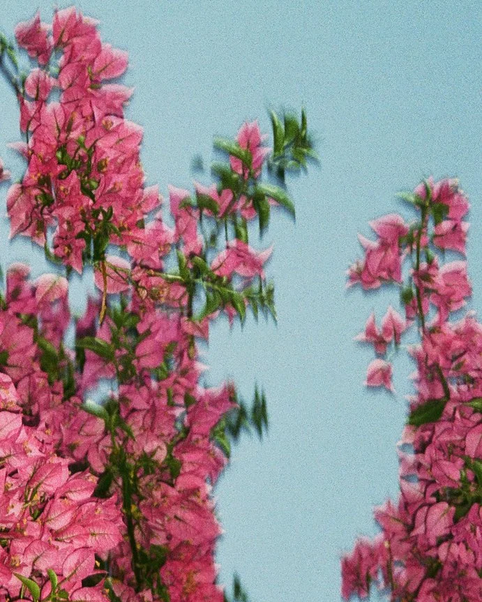 000093700020 1.jpg