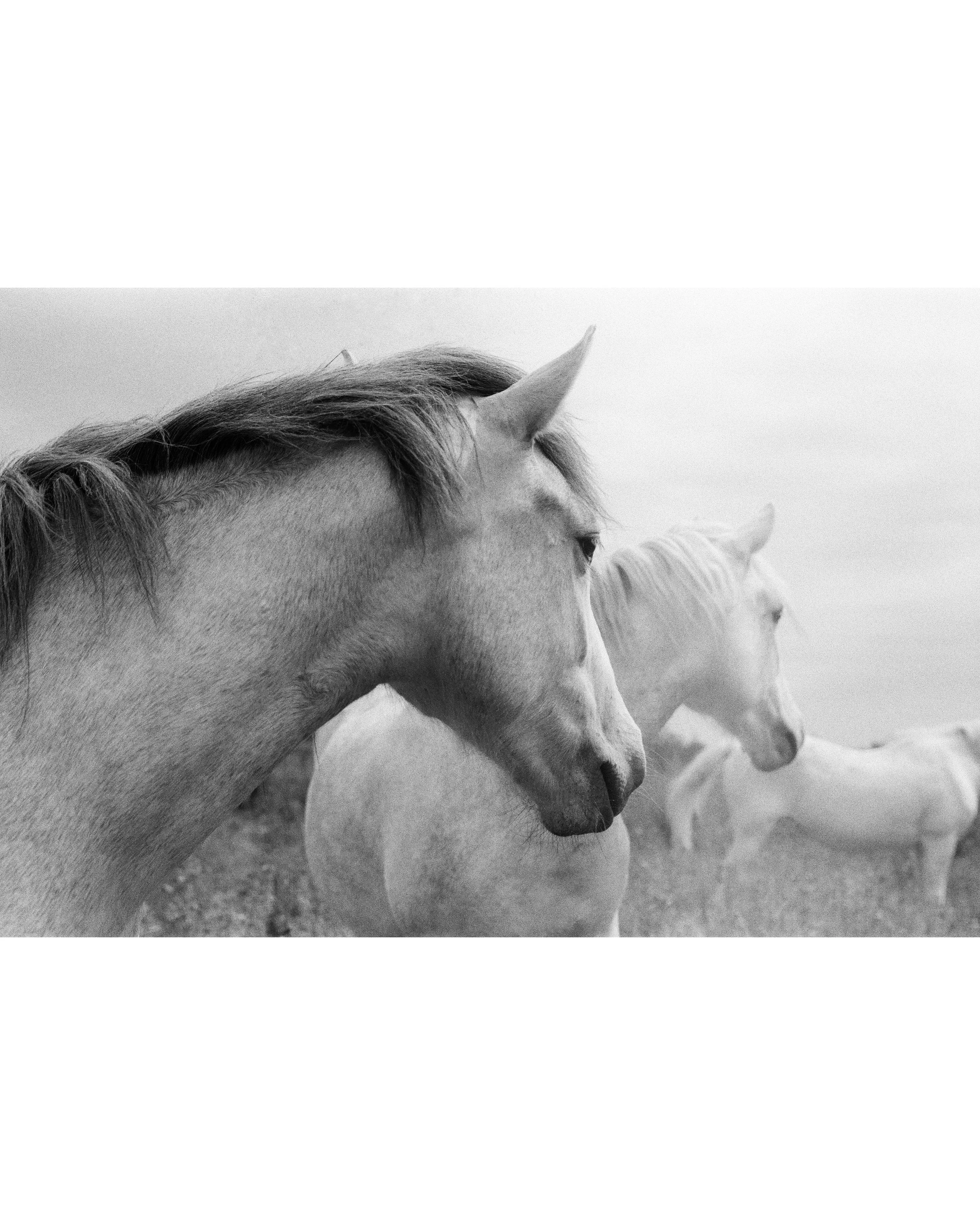 000041530006____ Edited.JPG