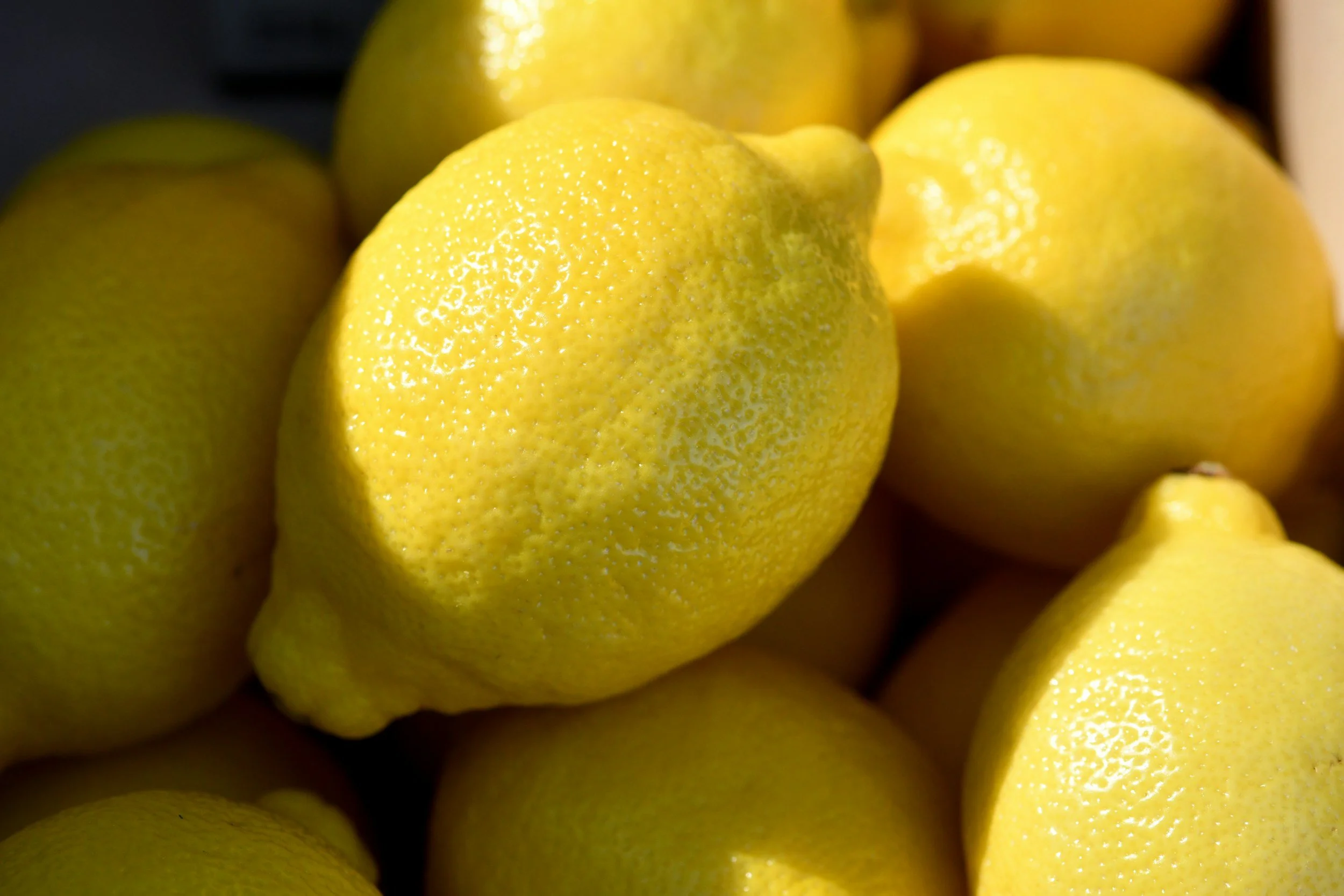 Moroccan FERMENTED LEMONS