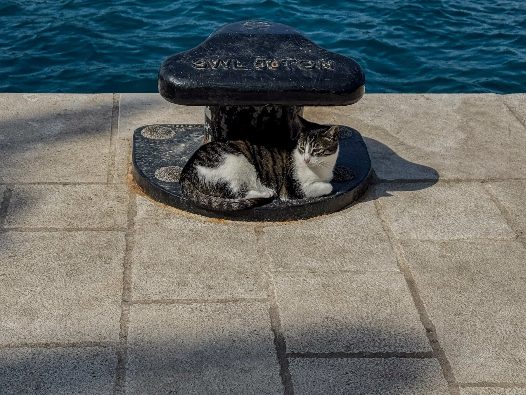 Black and white cat sheltering under a harbour bollard in Cavtat.