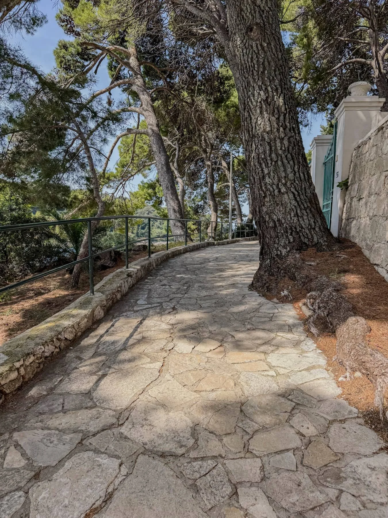 Shaded stone path along the Cavtat peninsula coastal walk under pine trees.