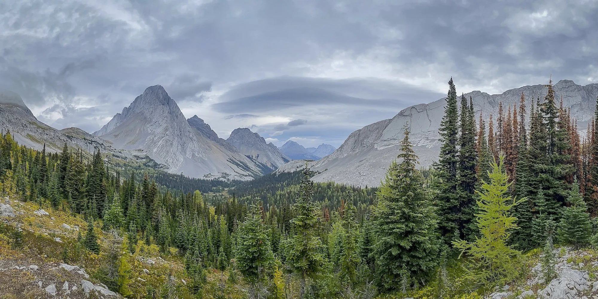 Stormy Morning at Burstall Pass
