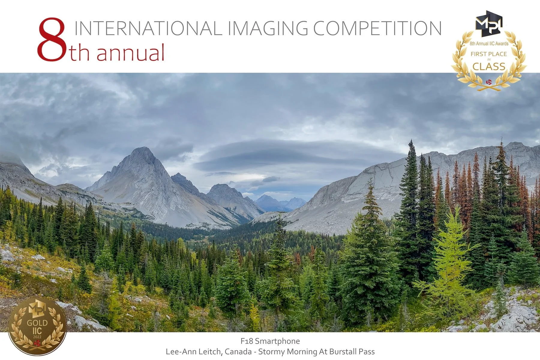 Stormy Morning in Burstall Pass First Place in Class certificate MPI International Imaging Challenge.