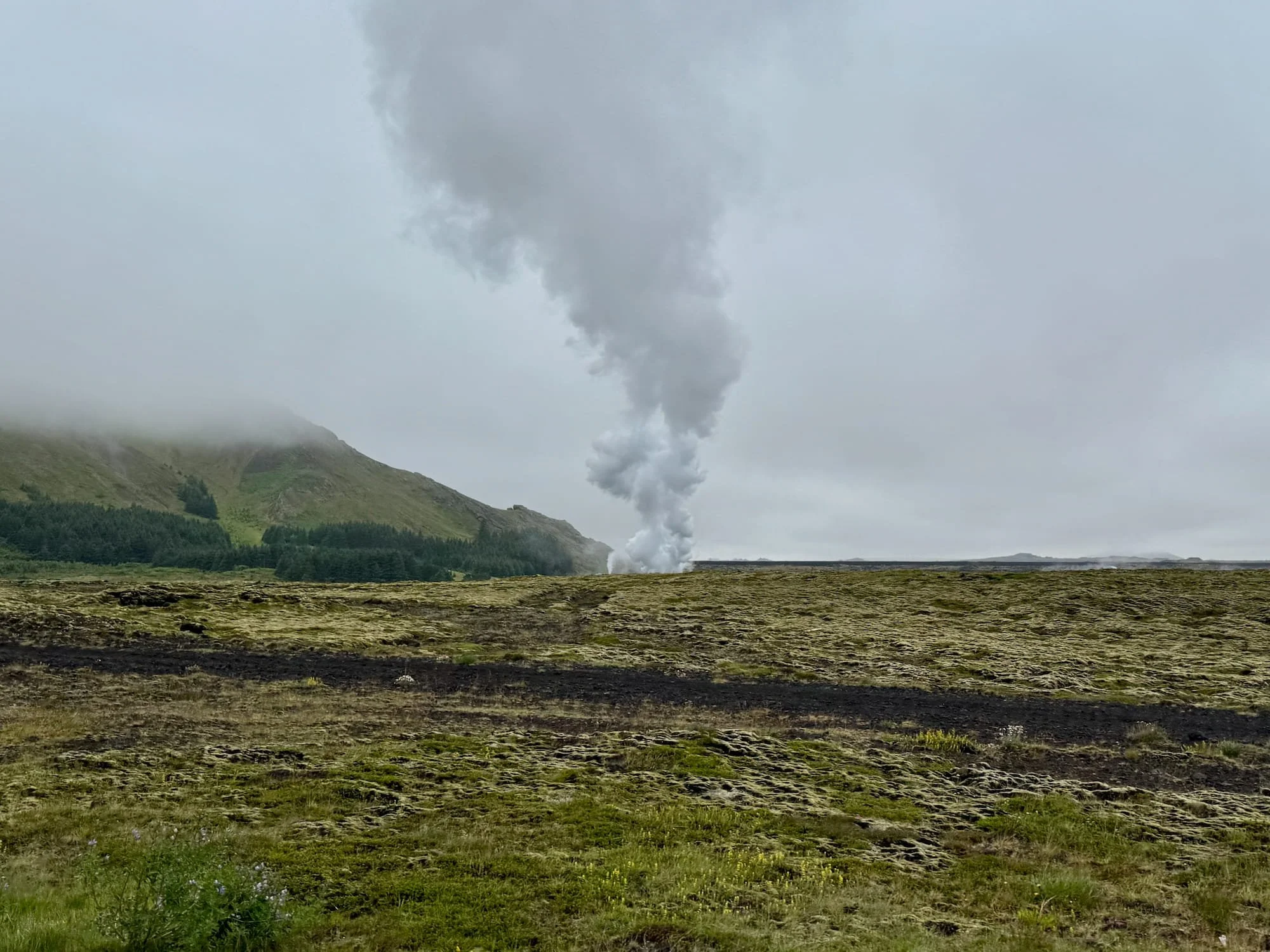 Moss-covered lava fields with geothermal steam rising near Svartsengi.