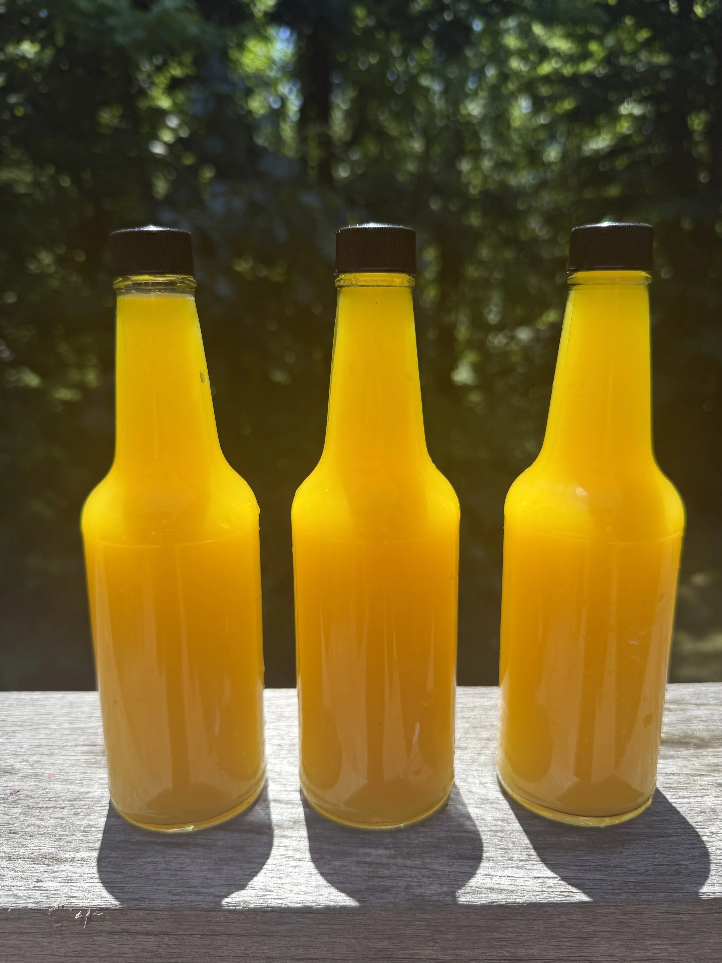 3 Pack Sun Brew  (Local Delivery ONLY)