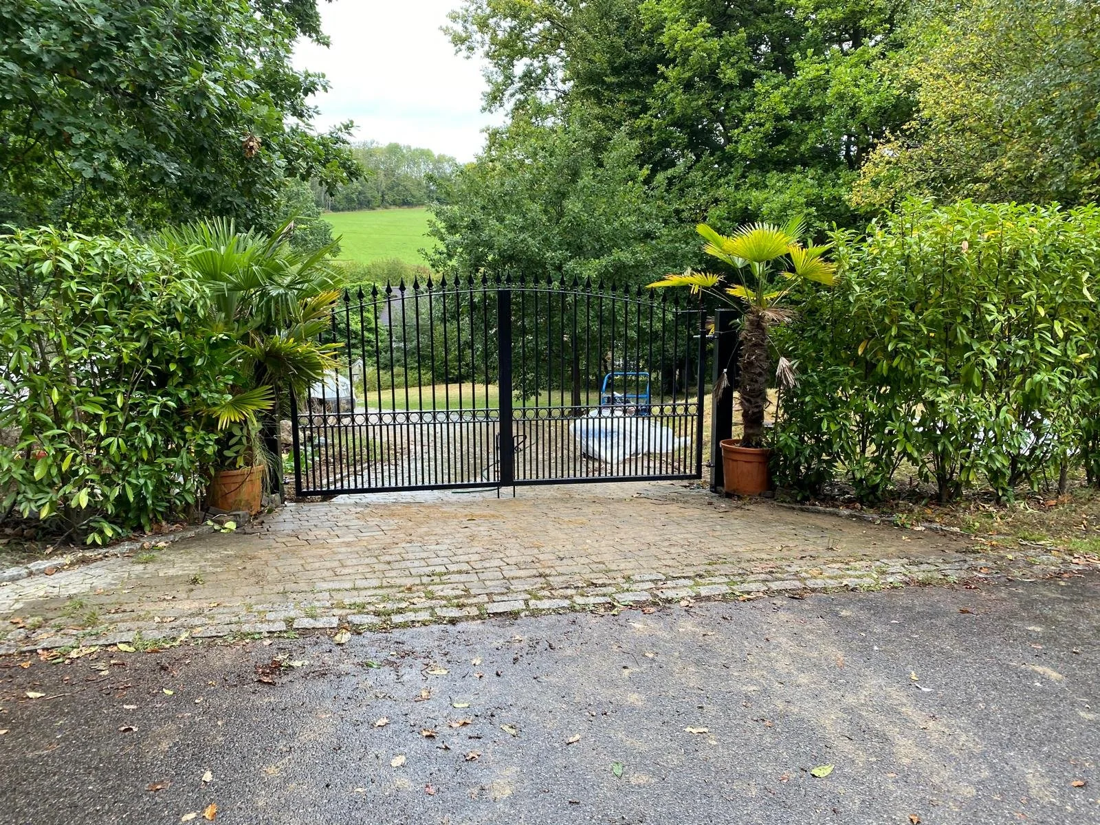 WhatsApp Image 2026-01-19 at 21.14.06 (2).jpeg