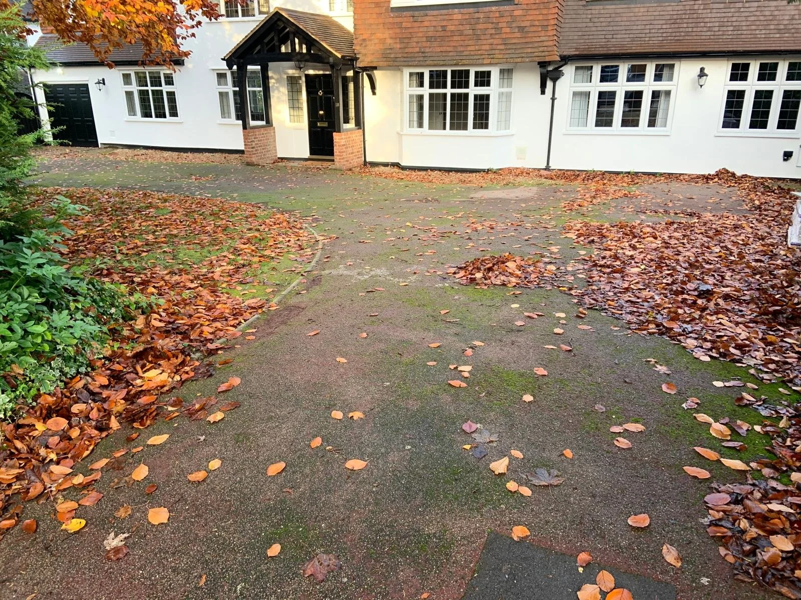 WhatsApp Image 2026-01-19 at 20.58.05 (2).jpeg