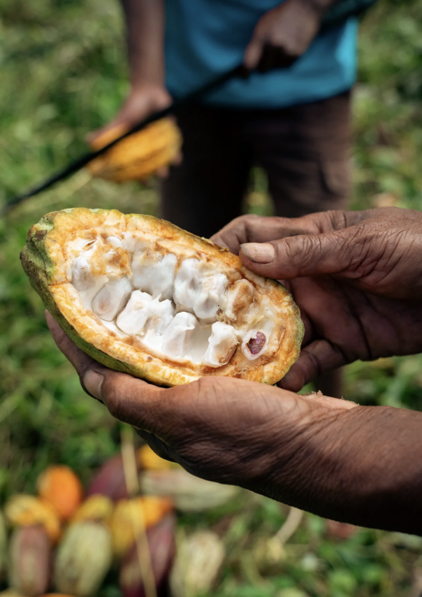 Screenshot 2026-03-04 at 6.05.55 PM.png