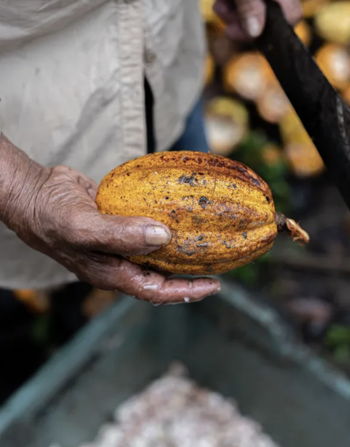 Screenshot 2026-03-04 at 6.05.45 PM.png