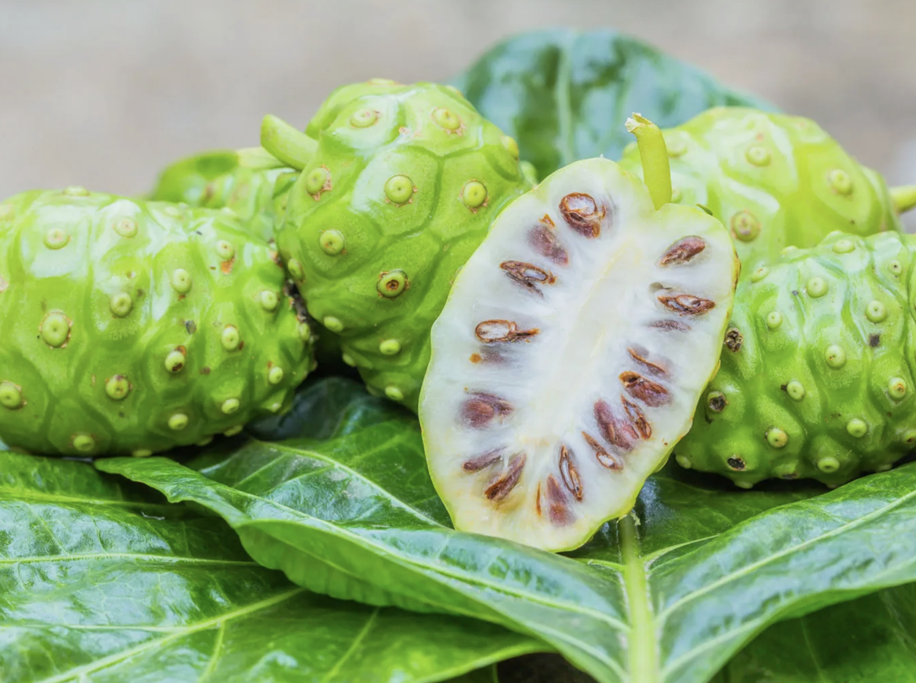 Screenshot 2026-03-04 at 8.35.38 PM.png