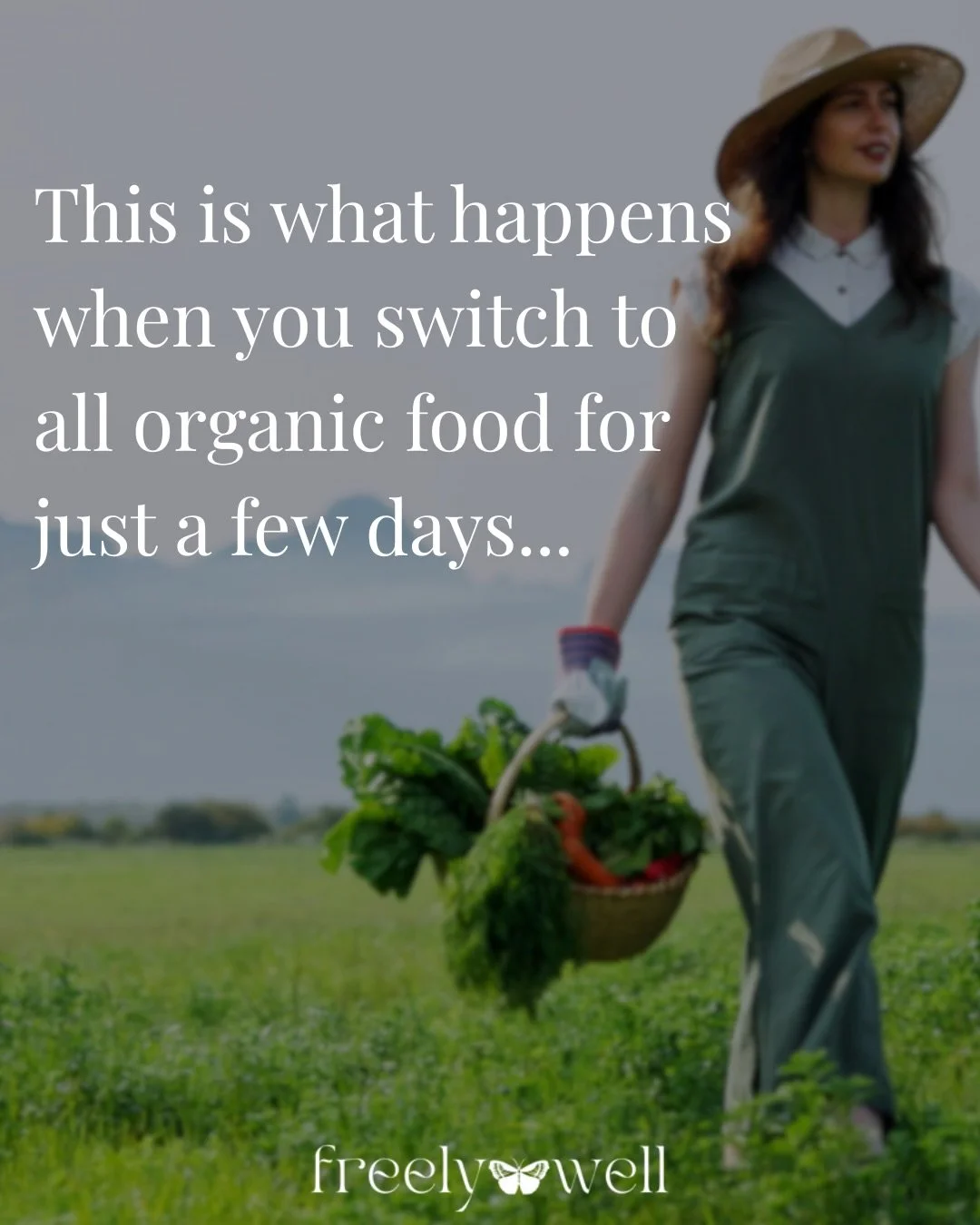 Is the organic label a scam? 🍓🤔

Not if you care about pesticide exposure (and you should).

After switching to an all-organic diet for just 5&ndash;6 days, pesticide levels in the body (measured through urinary excretion) have been shown to drop b