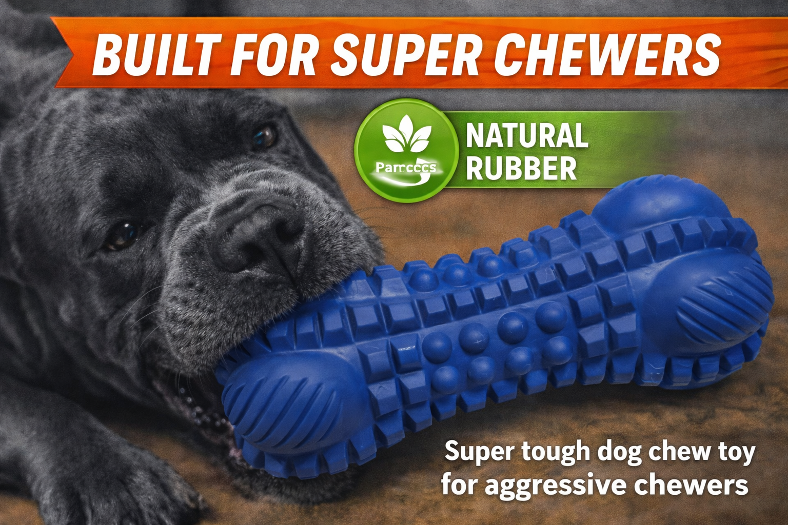 ChatGPT Image Mar 5, 2026, 11_33_55 AM.png