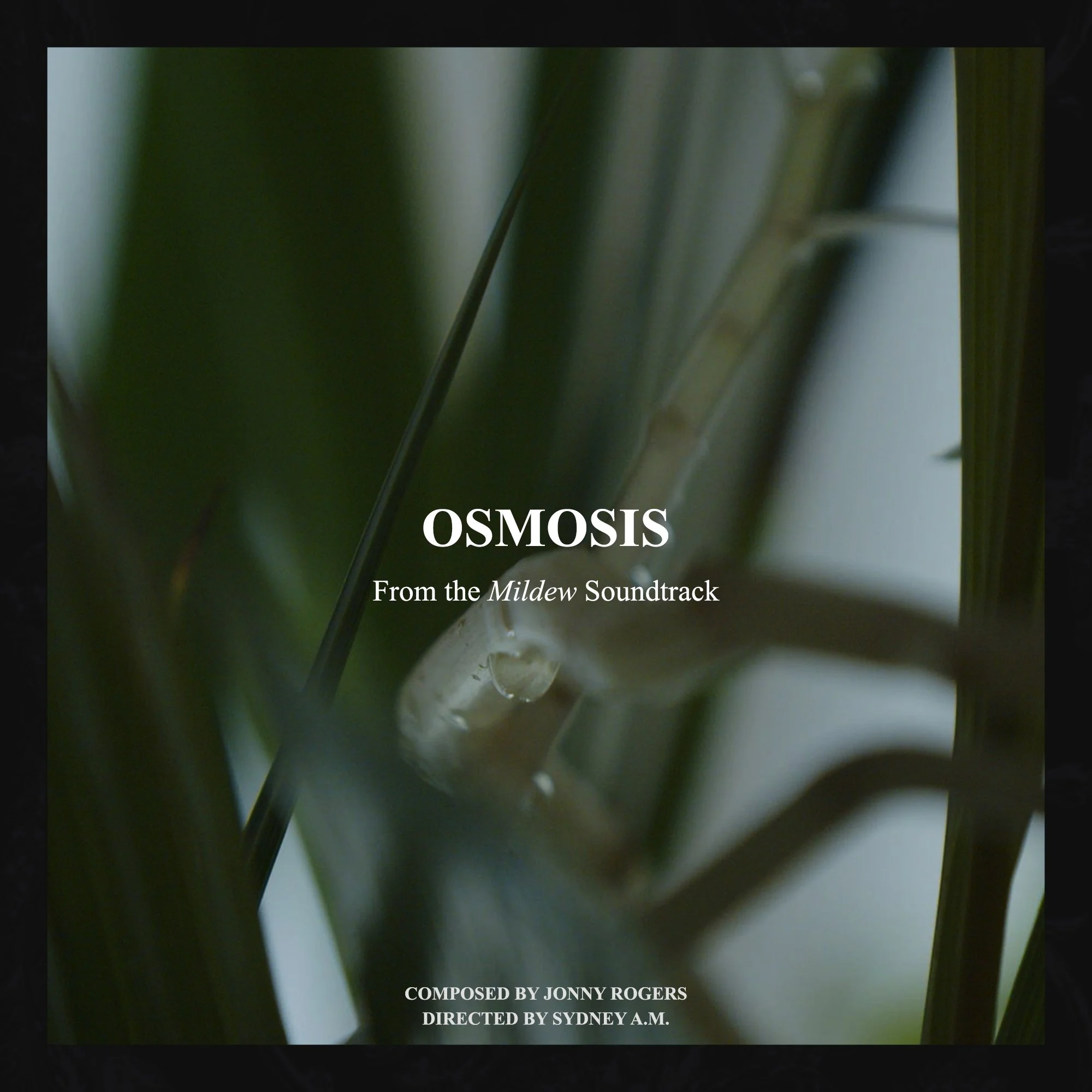 04_OSMOSIS_SOUNDTRACKCOVER.jpg