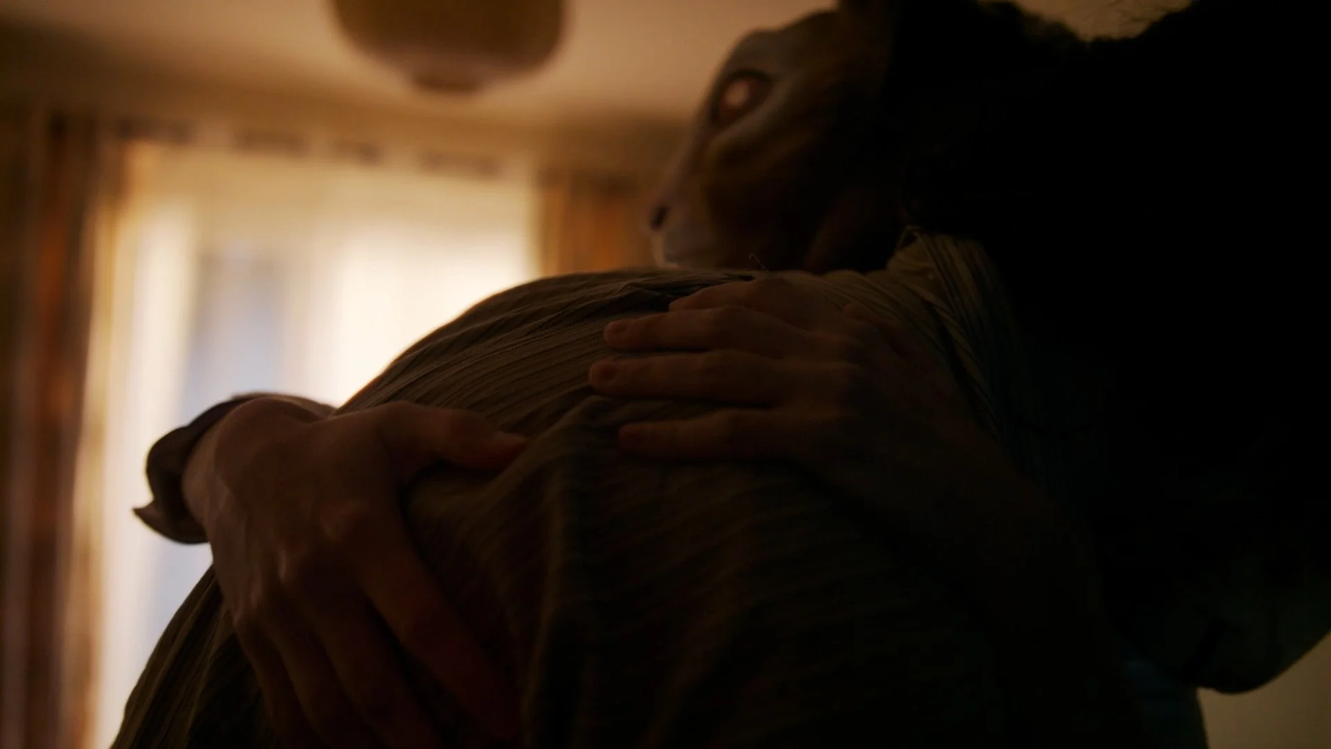 Showreel Still 2025-05-17 175148_1.10.1.jpg
