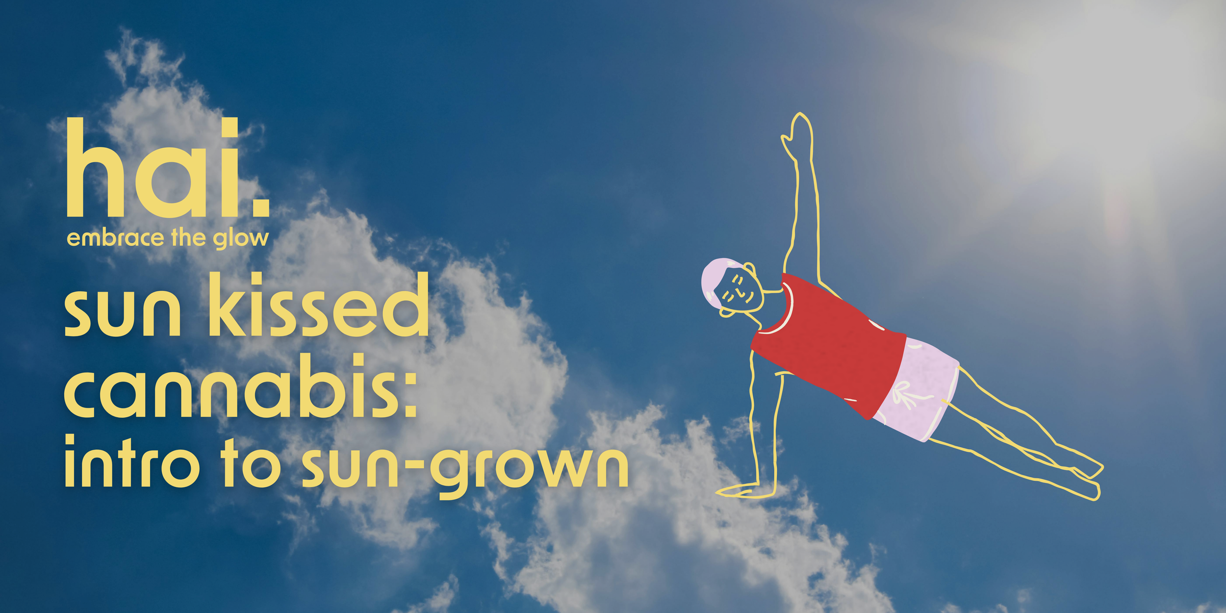 banner with the logo for cannabis brand hai. and text reading "sun kissed cannabis: intro to sun-grown"