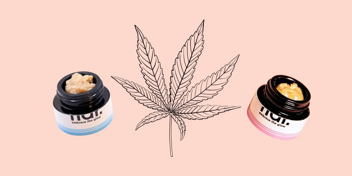 the entourage effect: what it is and why it matters