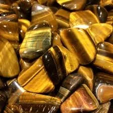 download-2 9.19.52 AM.jpg