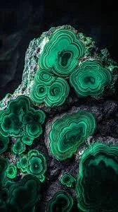 download-1 9.19.52 AM.jpg