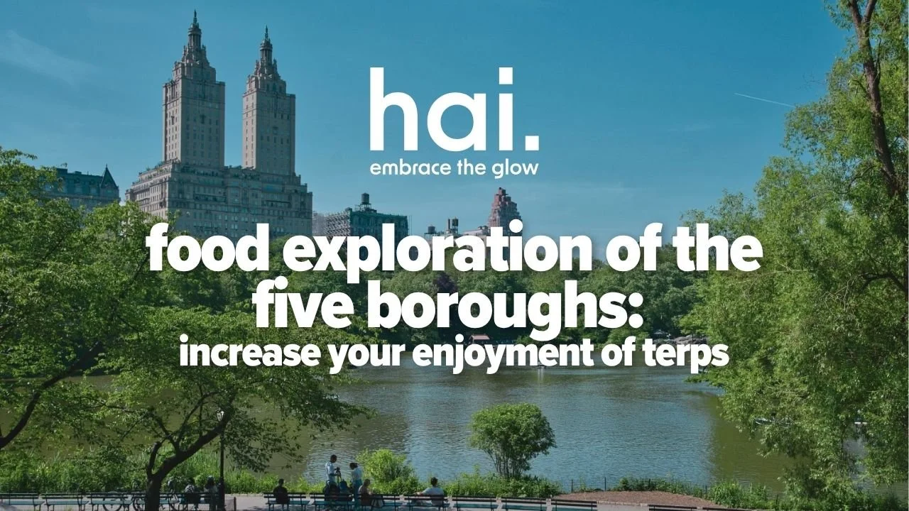 food exploration of the five boroughs: increase your enjoyment of terps