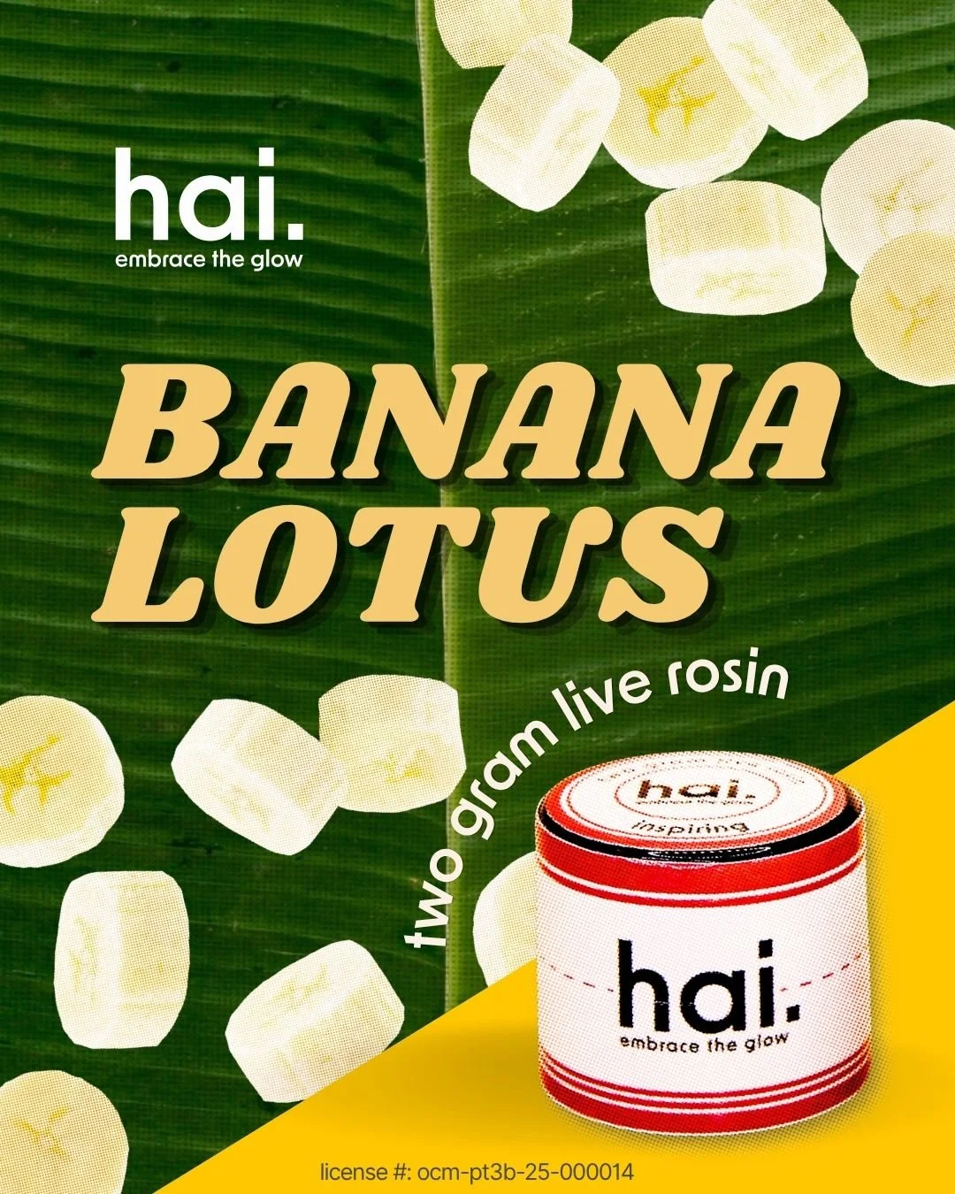 meet banana lotus: a little sunshine in every session