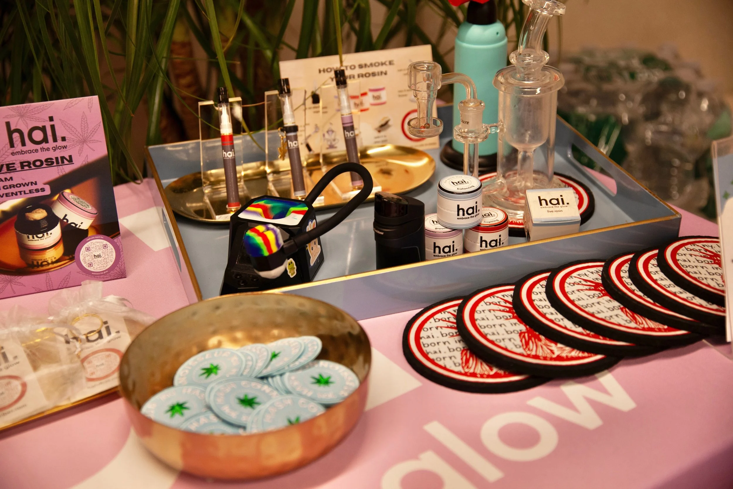 learn solventless cannabis: inside the hai. hash connoisseur course