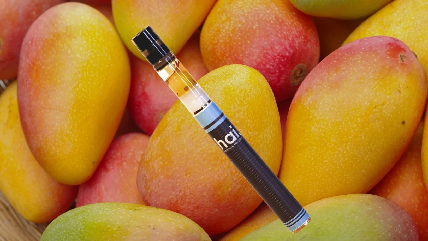 hai. live rosin vape pen positioned among ripe yellow and red mangoes, emphasizing the tropical flavor profile of mango mirage.