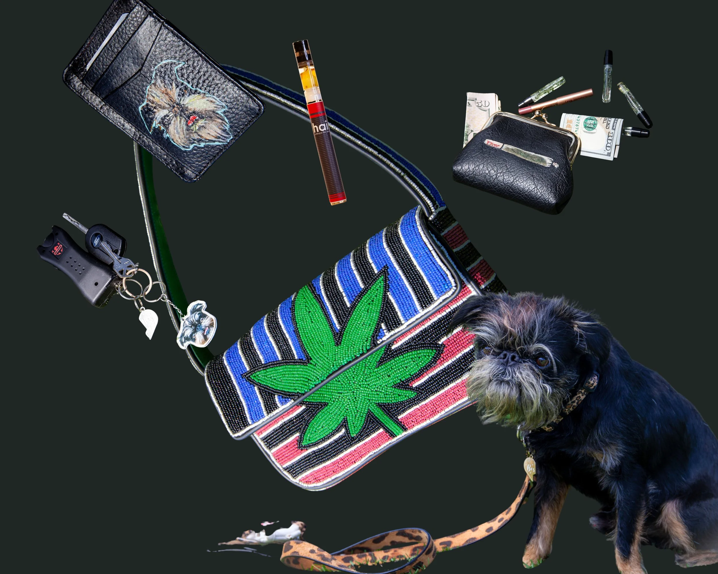model paige tiziani's essentials including a hai. papaya sunrise pen, and her dog mojo jojo