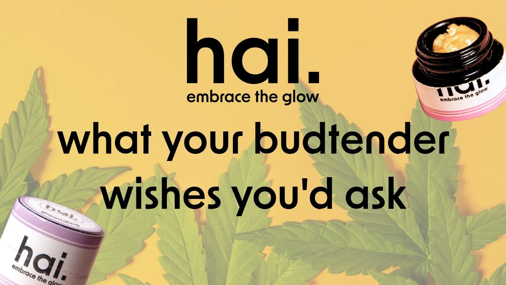 hai. blog banner featuring the headline “what your budtender wishes you'd ask,” with hai. live rosin jars in the corners and cannabis leaves against a warm yellow background.