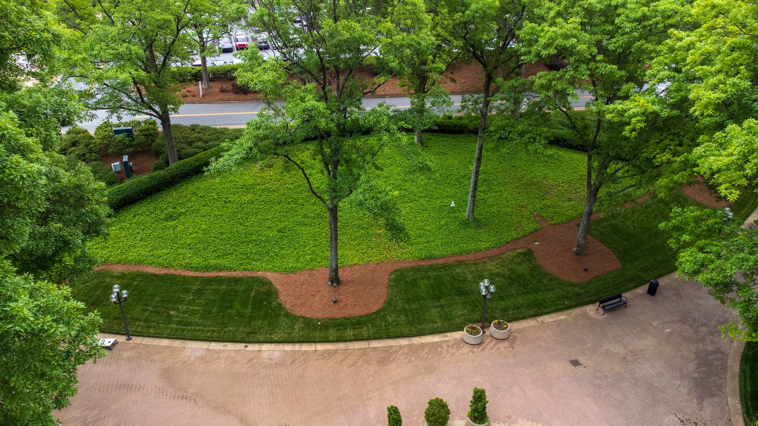 DJI_0533.jpg