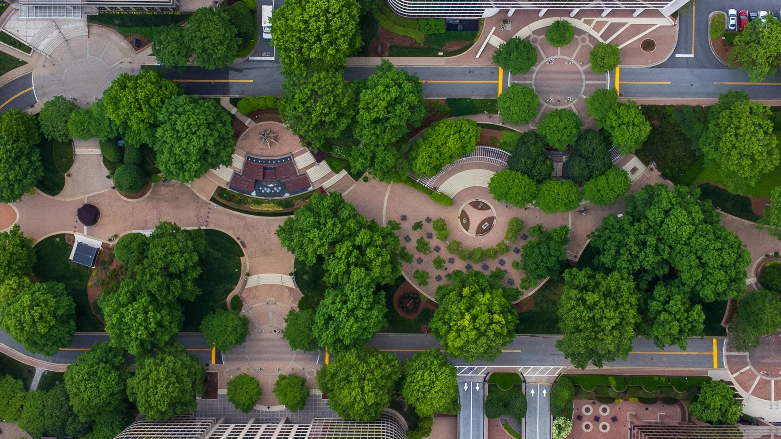 DJI_0525.jpg