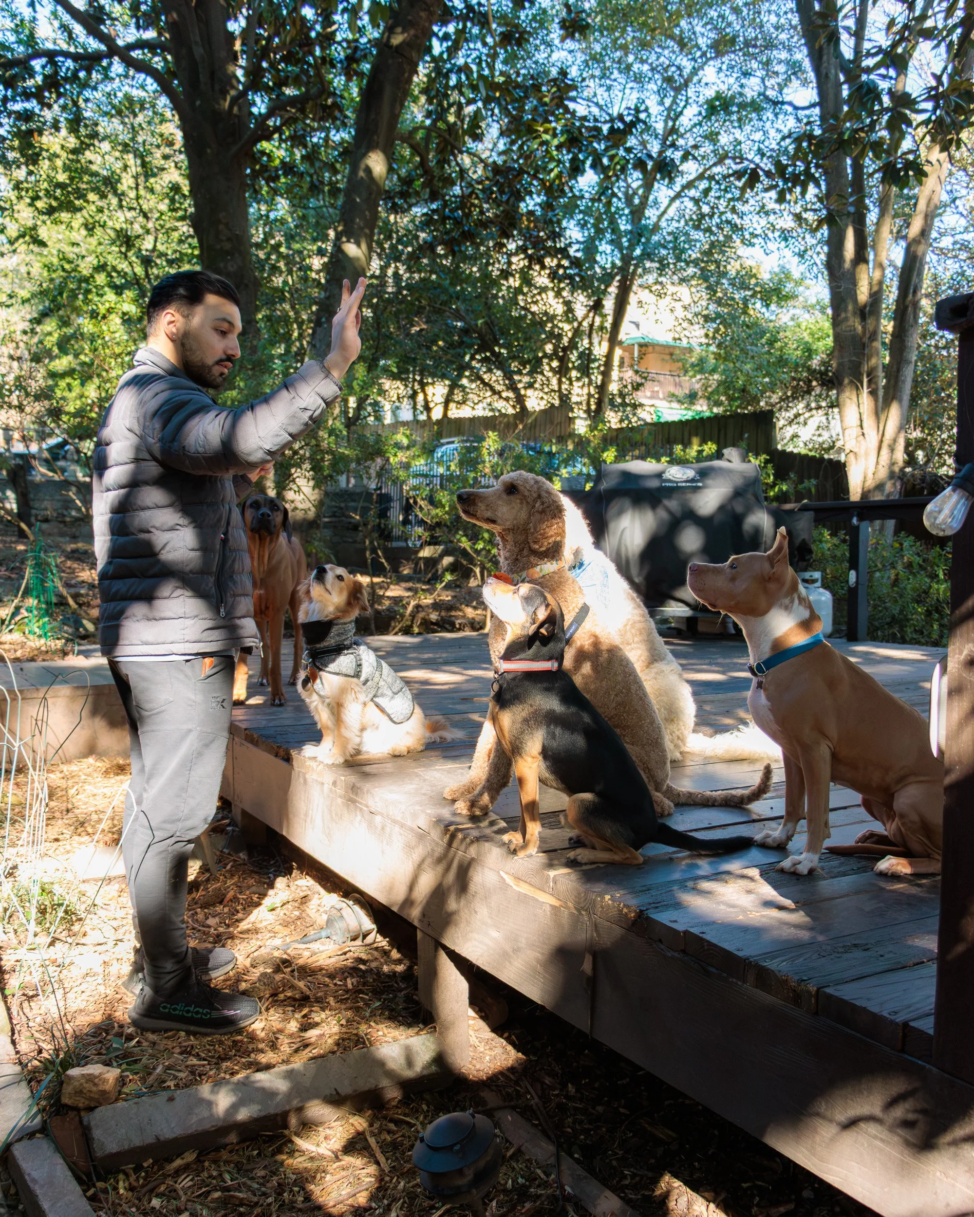 Sit, Stay, Smile with Dog Trainer ATL-19.jpg