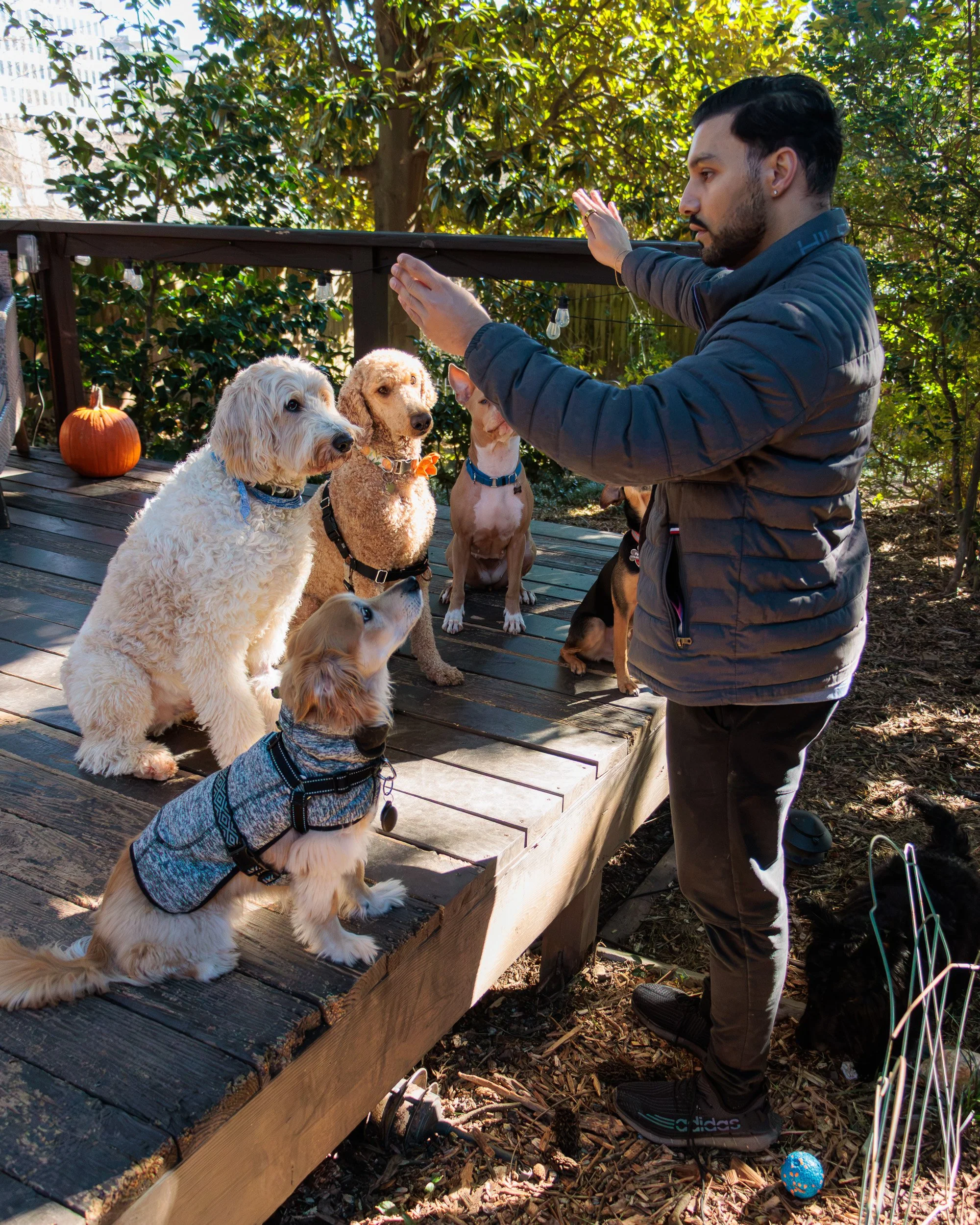 Sit, Stay, Smile with Dog Trainer ATL-20.jpg