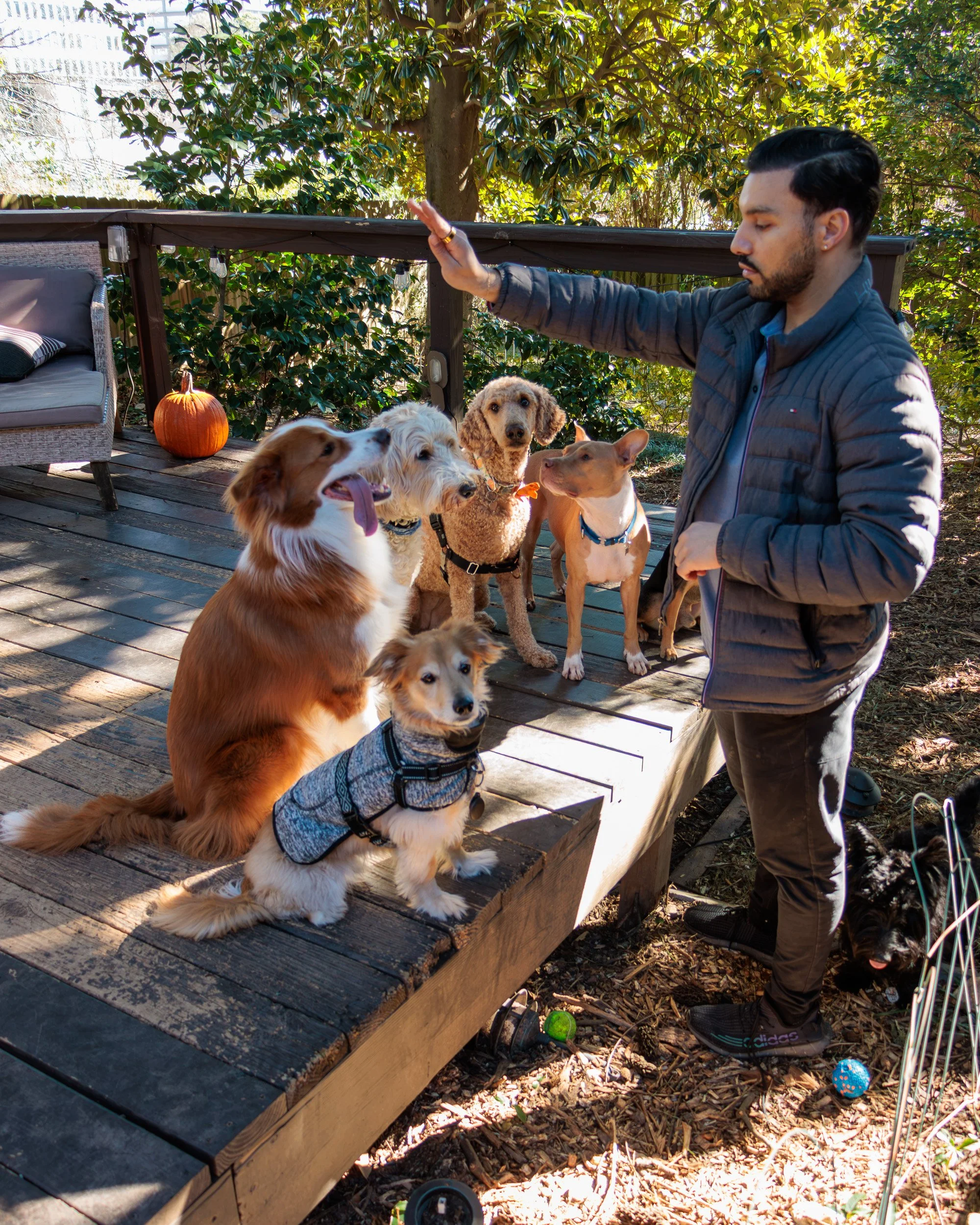 Sit, Stay, Smile with Dog Trainer ATL-21.jpg
