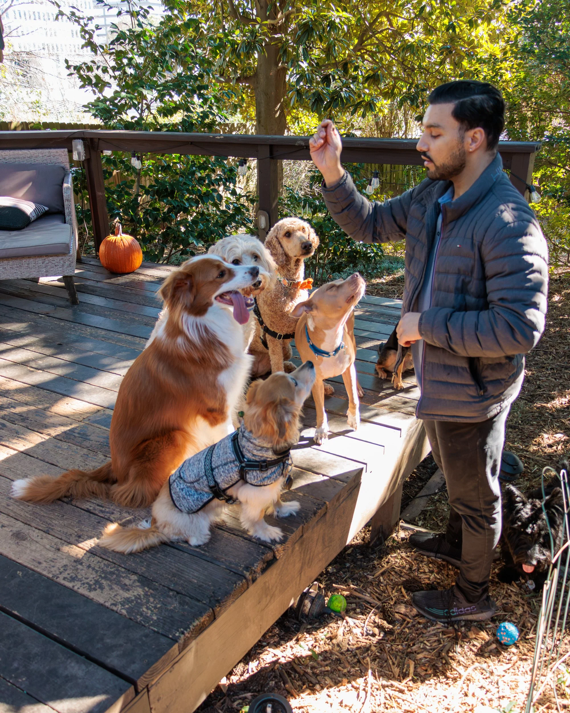 Sit, Stay, Smile with Dog Trainer ATL-22.jpg