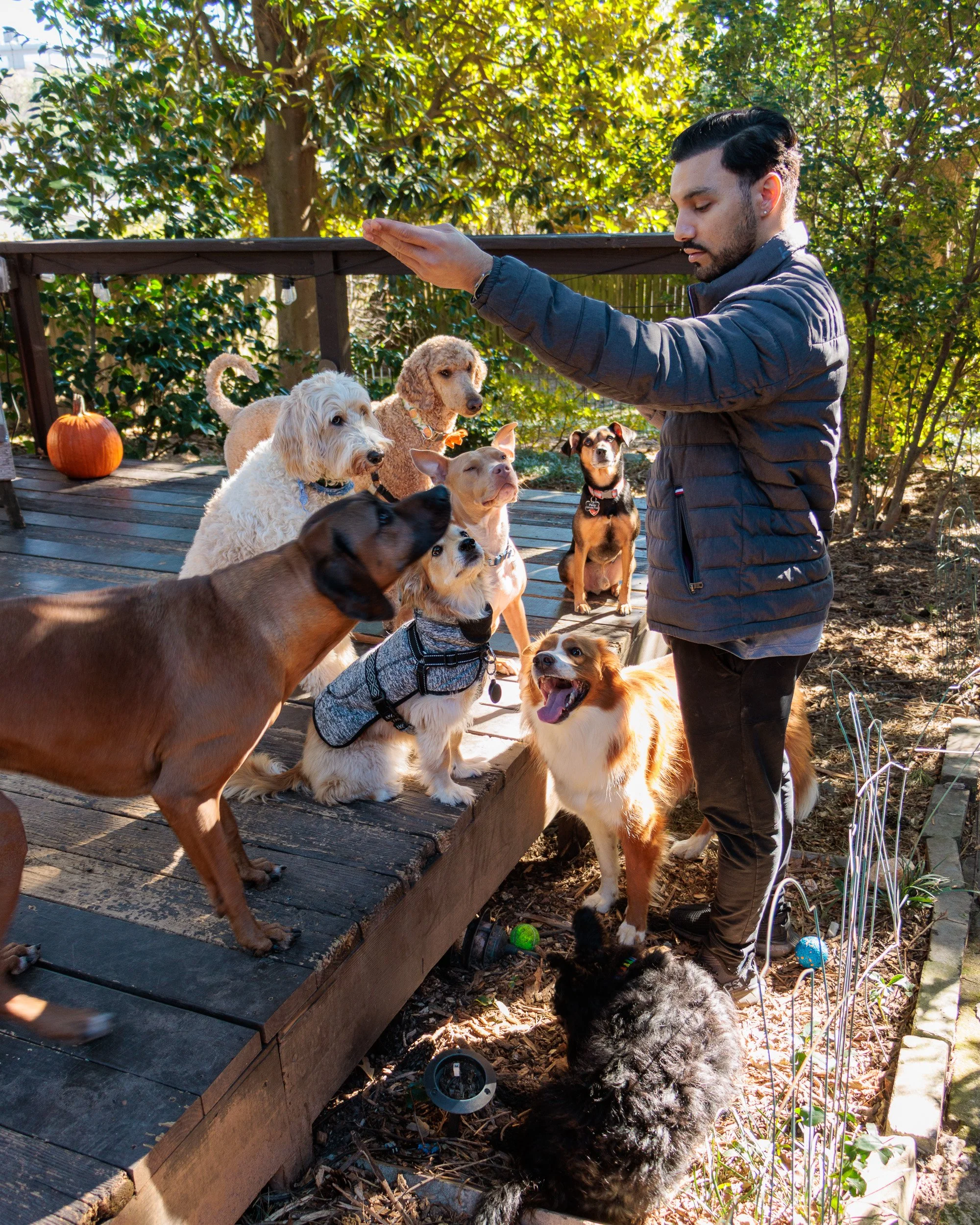 Sit, Stay, Smile with Dog Trainer ATL-23.jpg