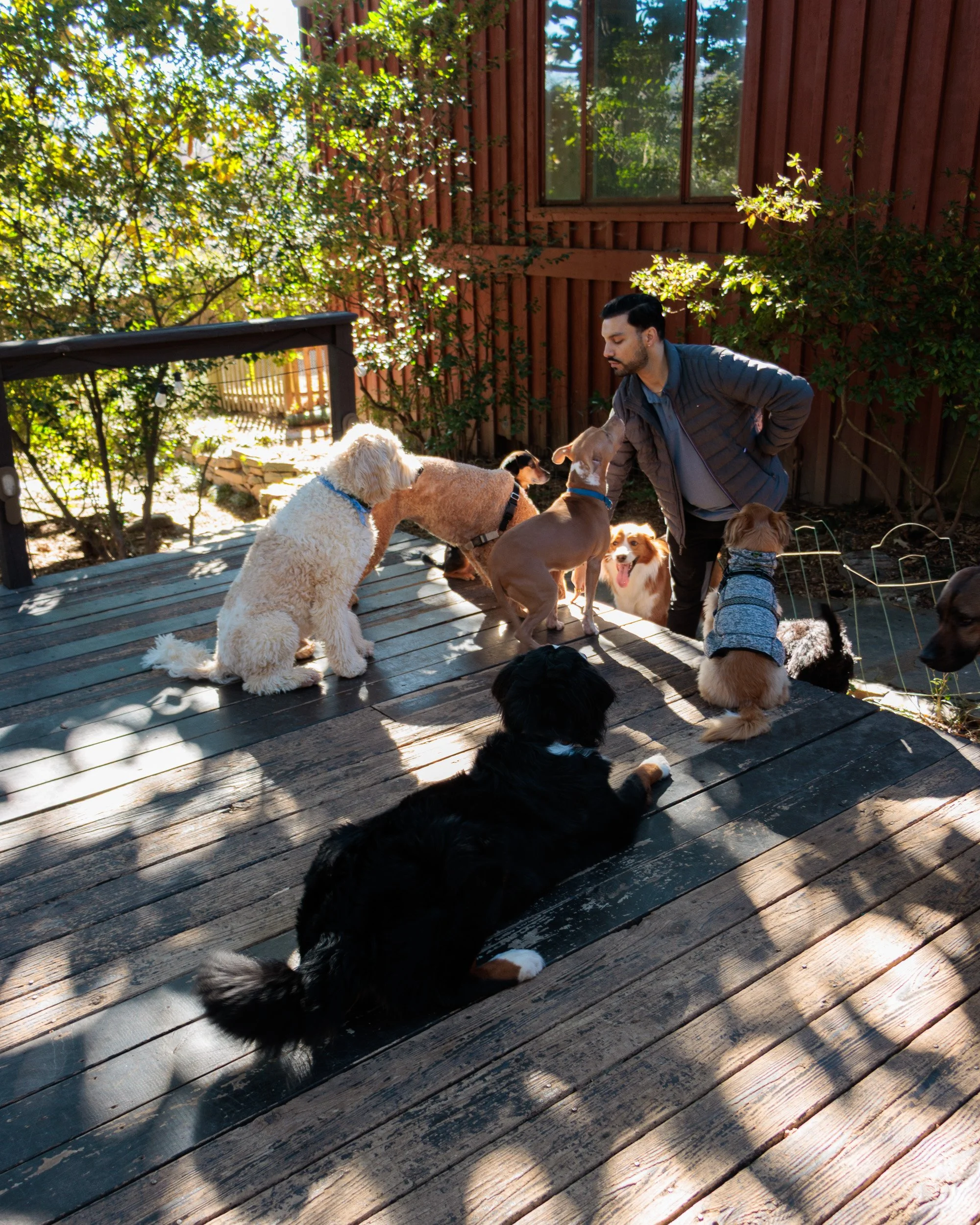 Sit, Stay, Smile with Dog Trainer ATL-24.jpg