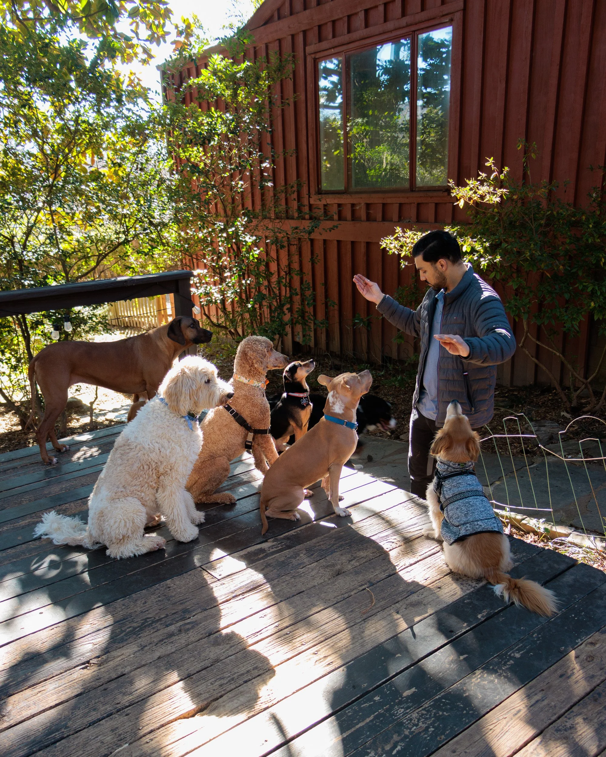 Sit, Stay, Smile with Dog Trainer ATL-25.jpg
