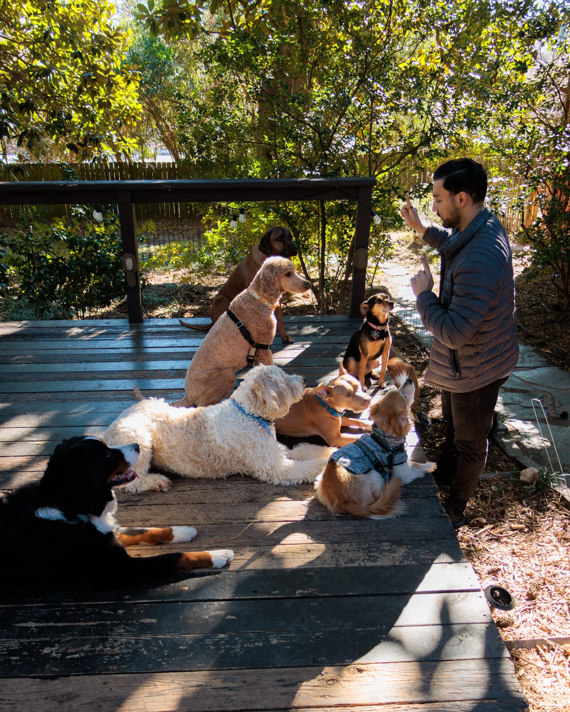 Sit, Stay, Smile with Dog Trainer ATL-26.jpg