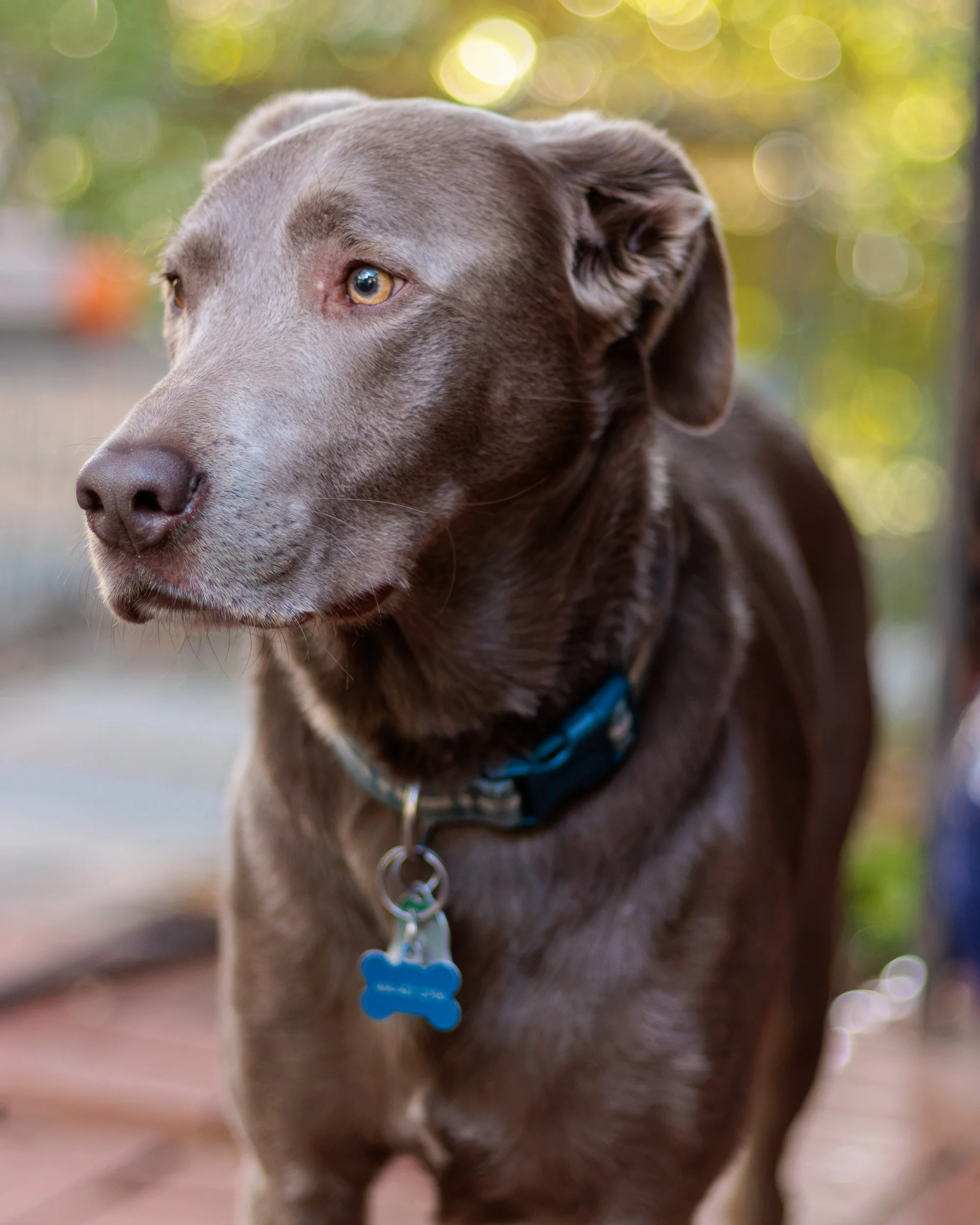 Sit Pretty, Then Chaos-05.jpg