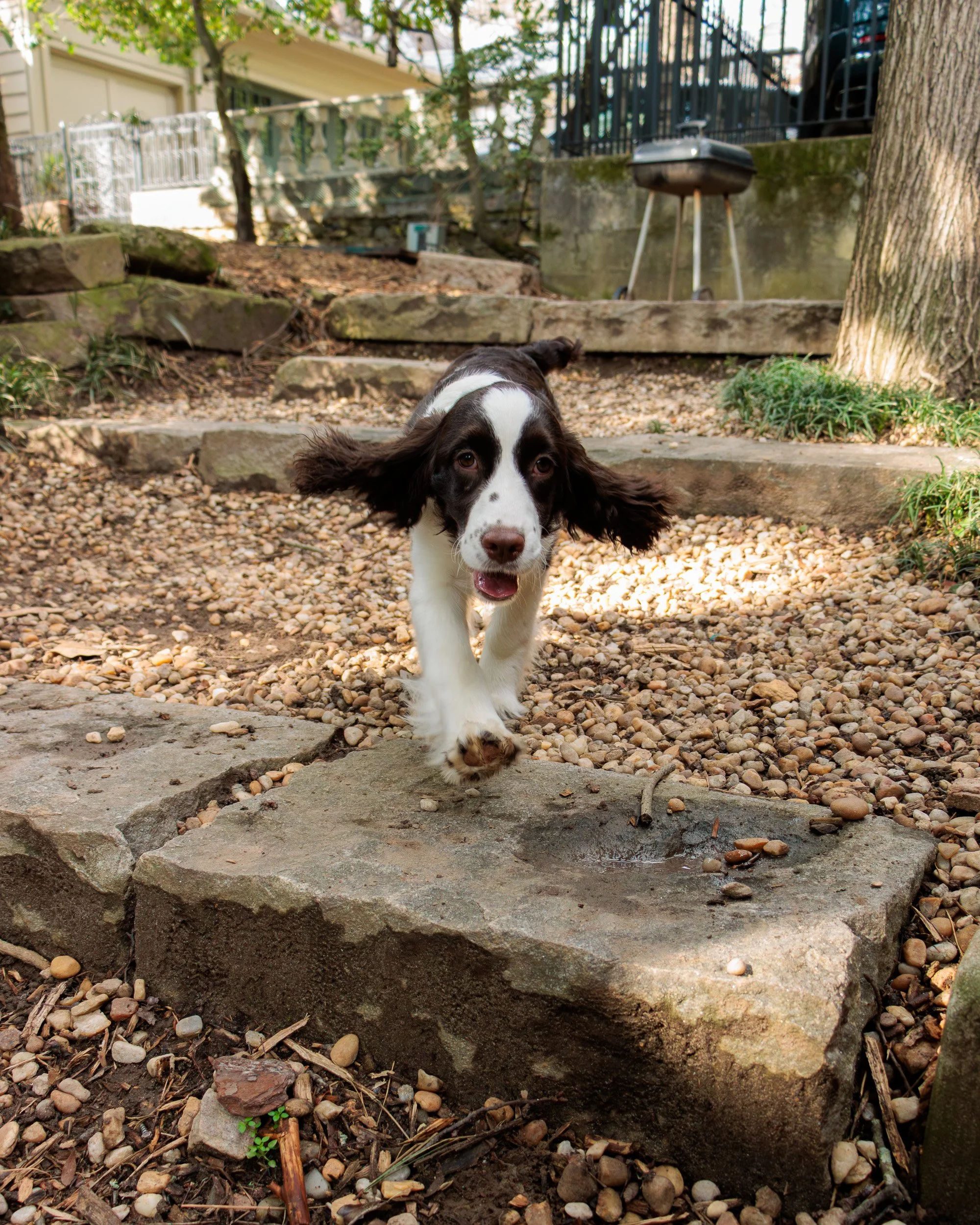Meet Poppy- Her First Playdate.-13.jpg