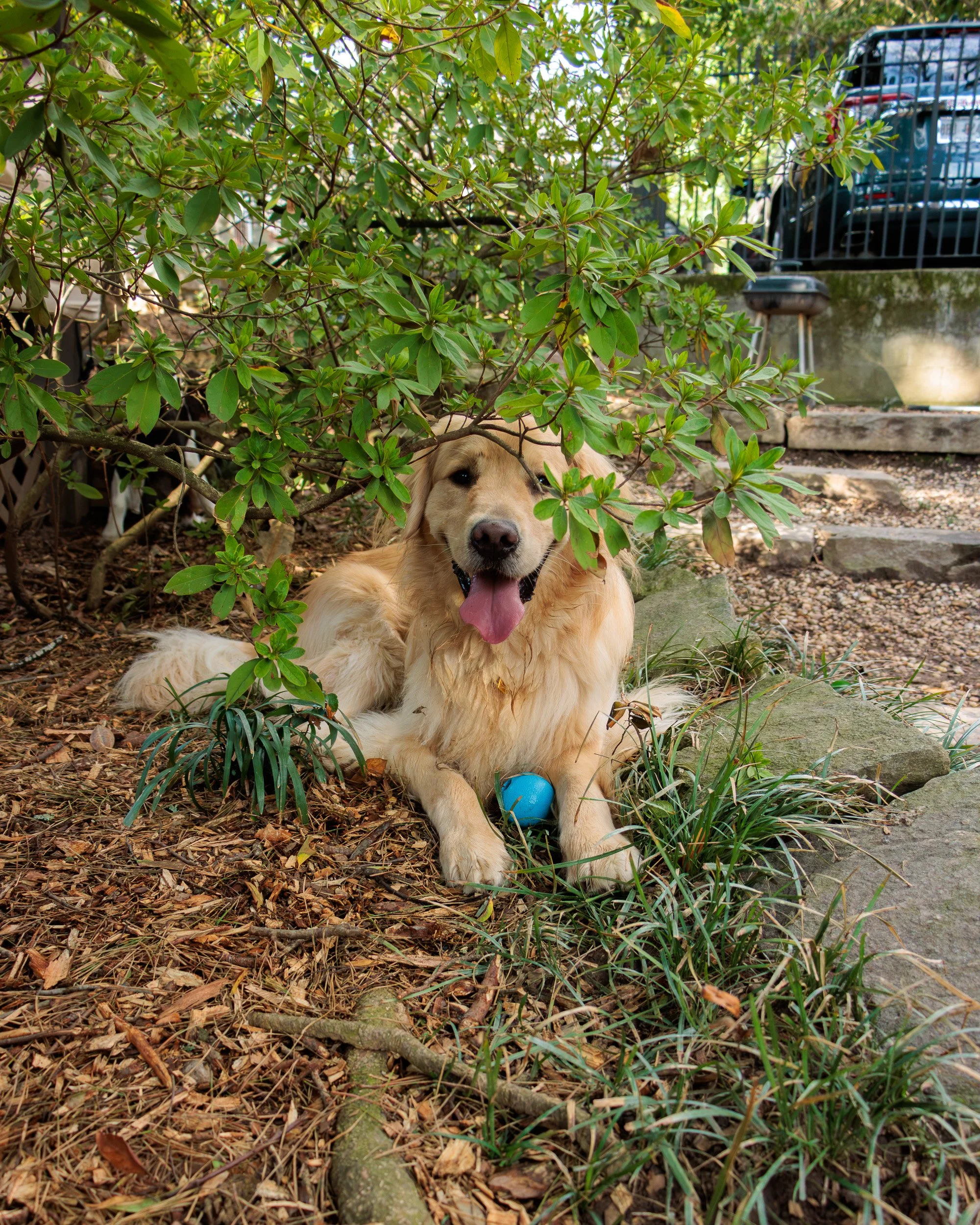 Meet Poppy- Her First Playdate.-15.jpg
