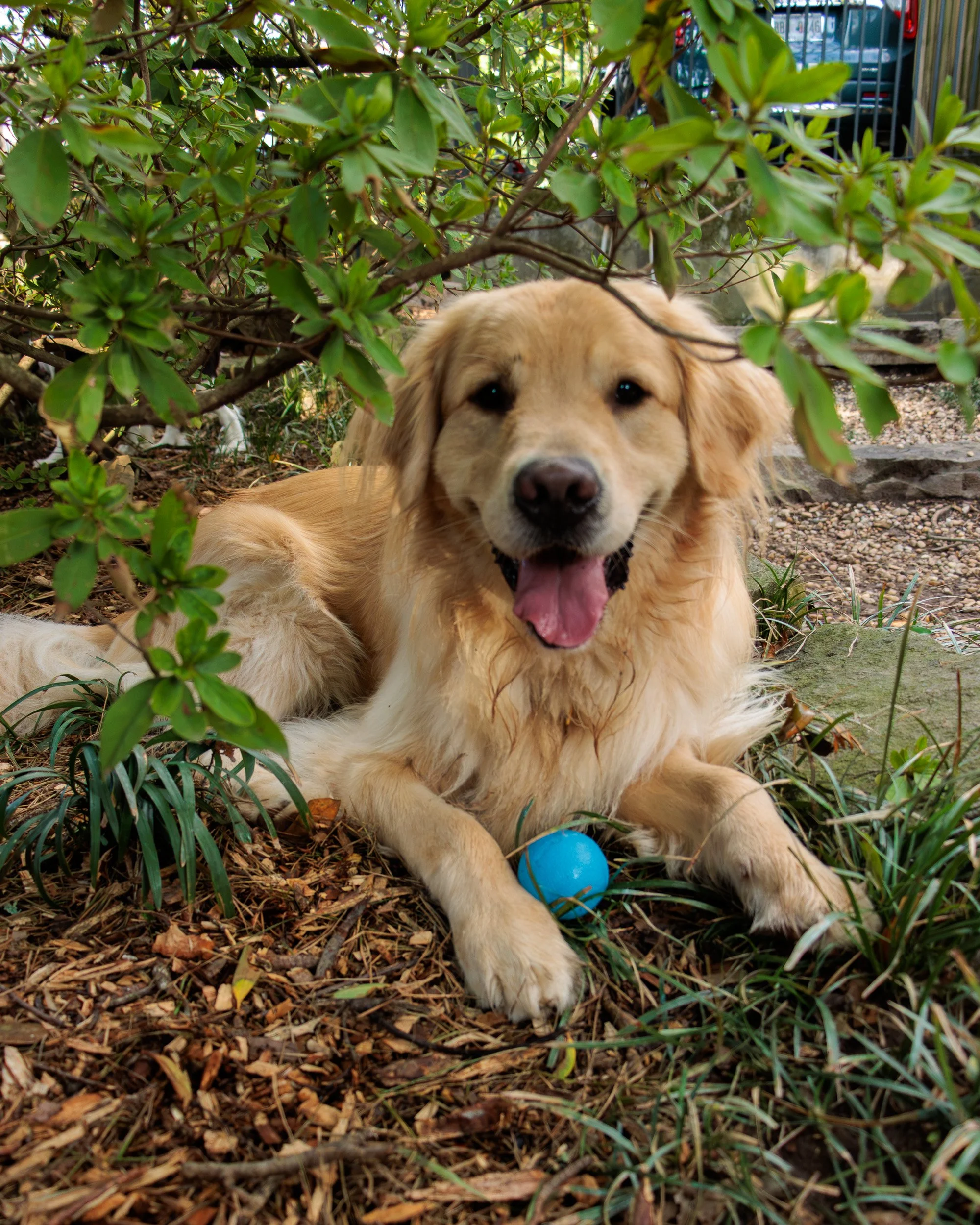 Meet Poppy- Her First Playdate.-16.jpg
