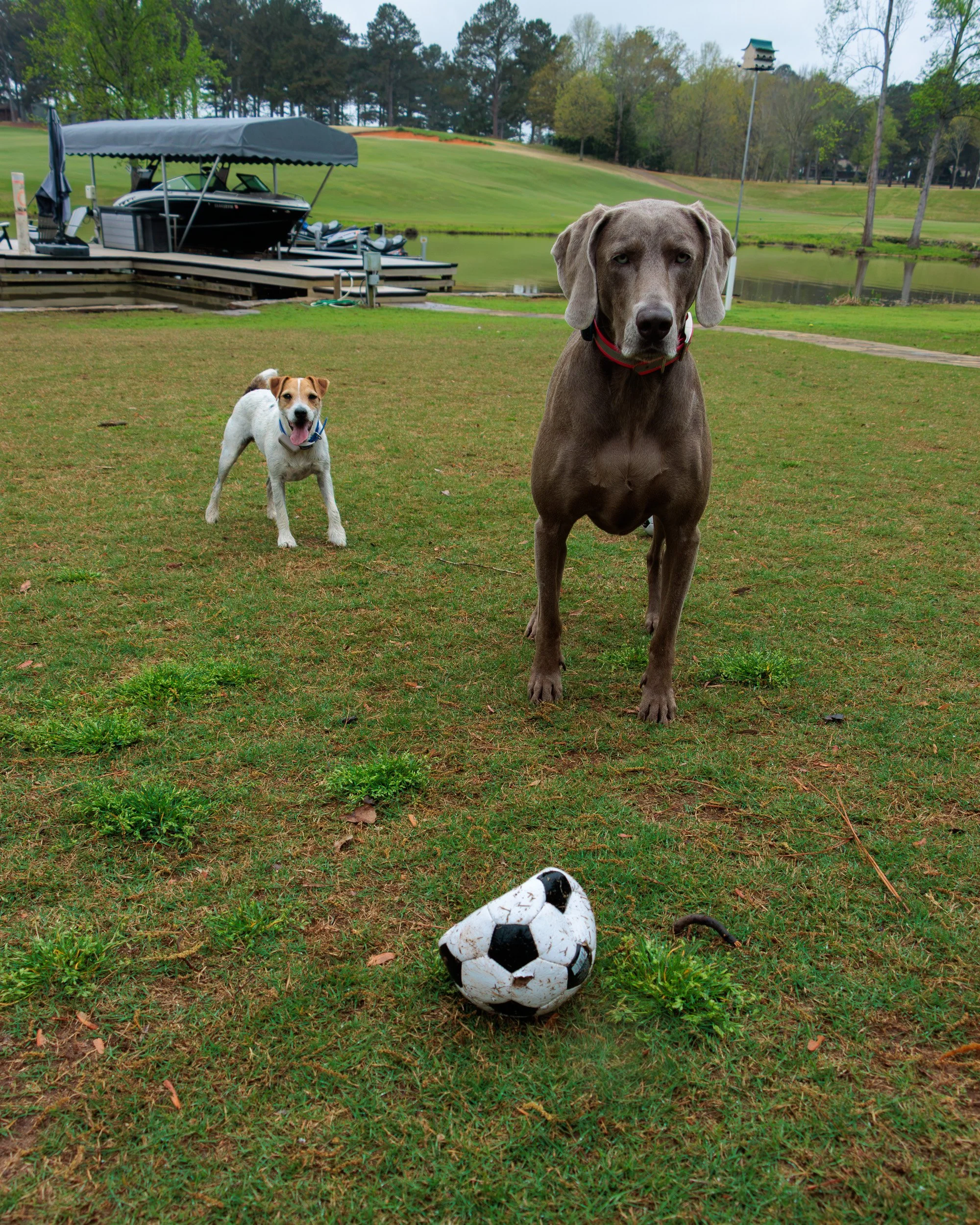 From Snow Day to Soccer Day.-02.jpg