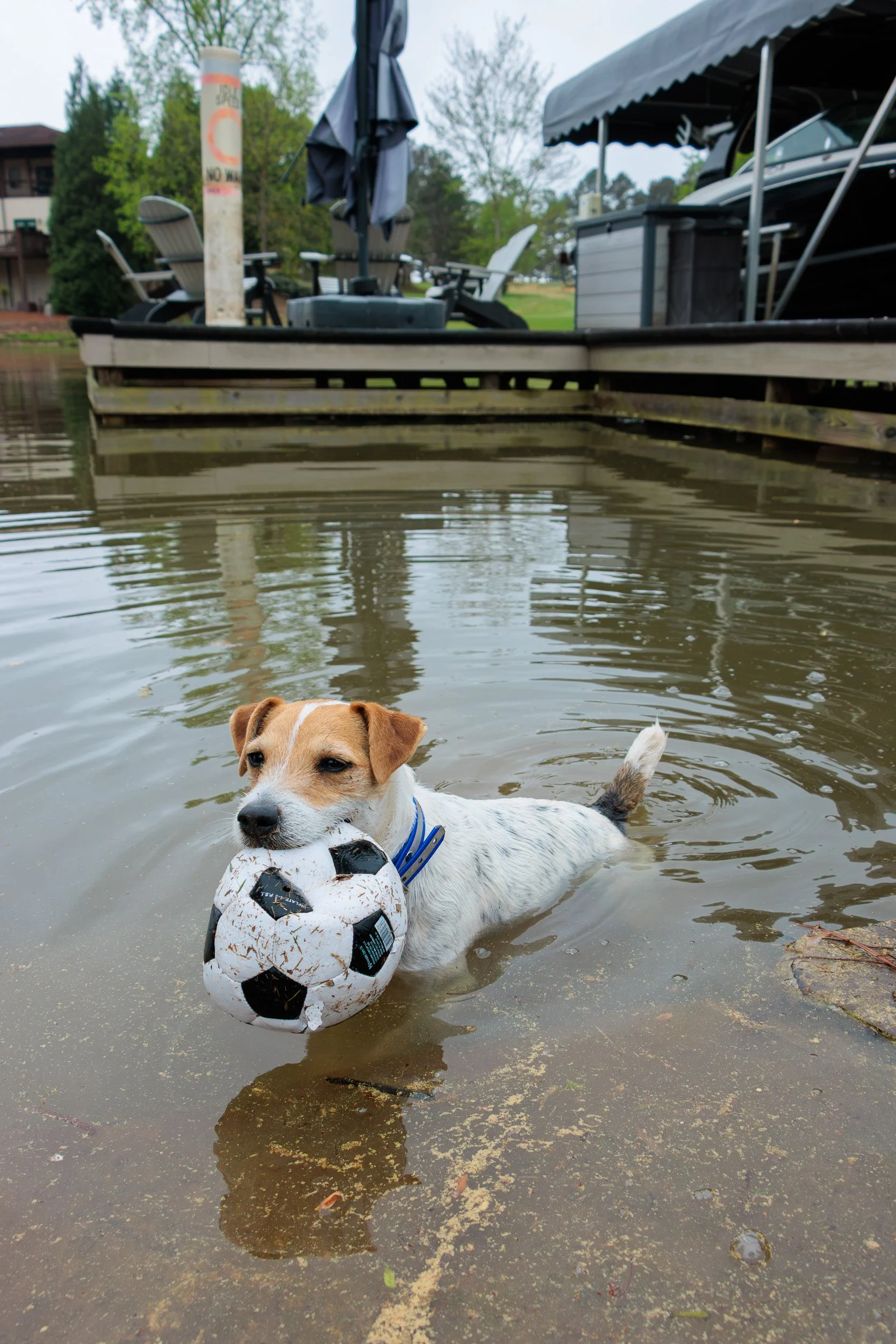 From Snow Day to Soccer Day.-04.jpg