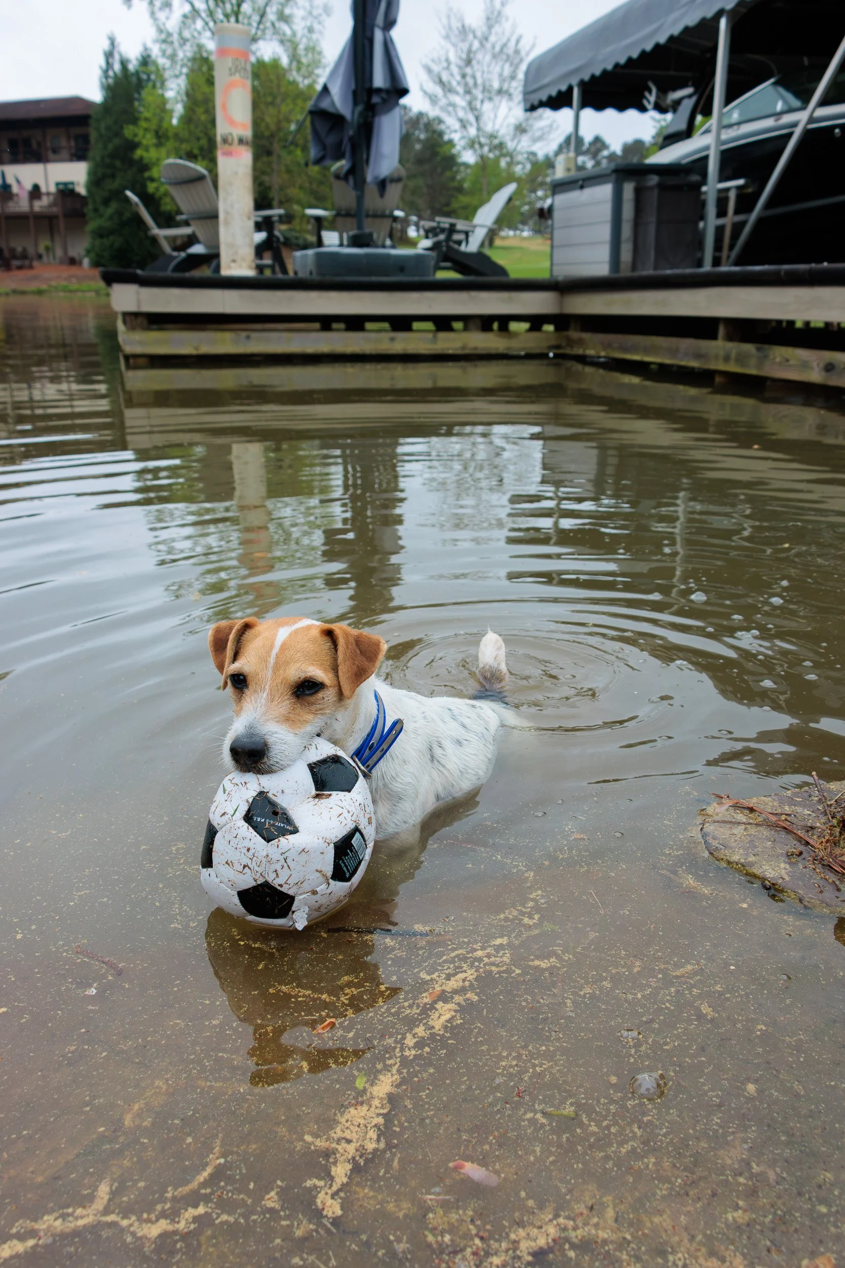 From Snow Day to Soccer Day.-05.jpg