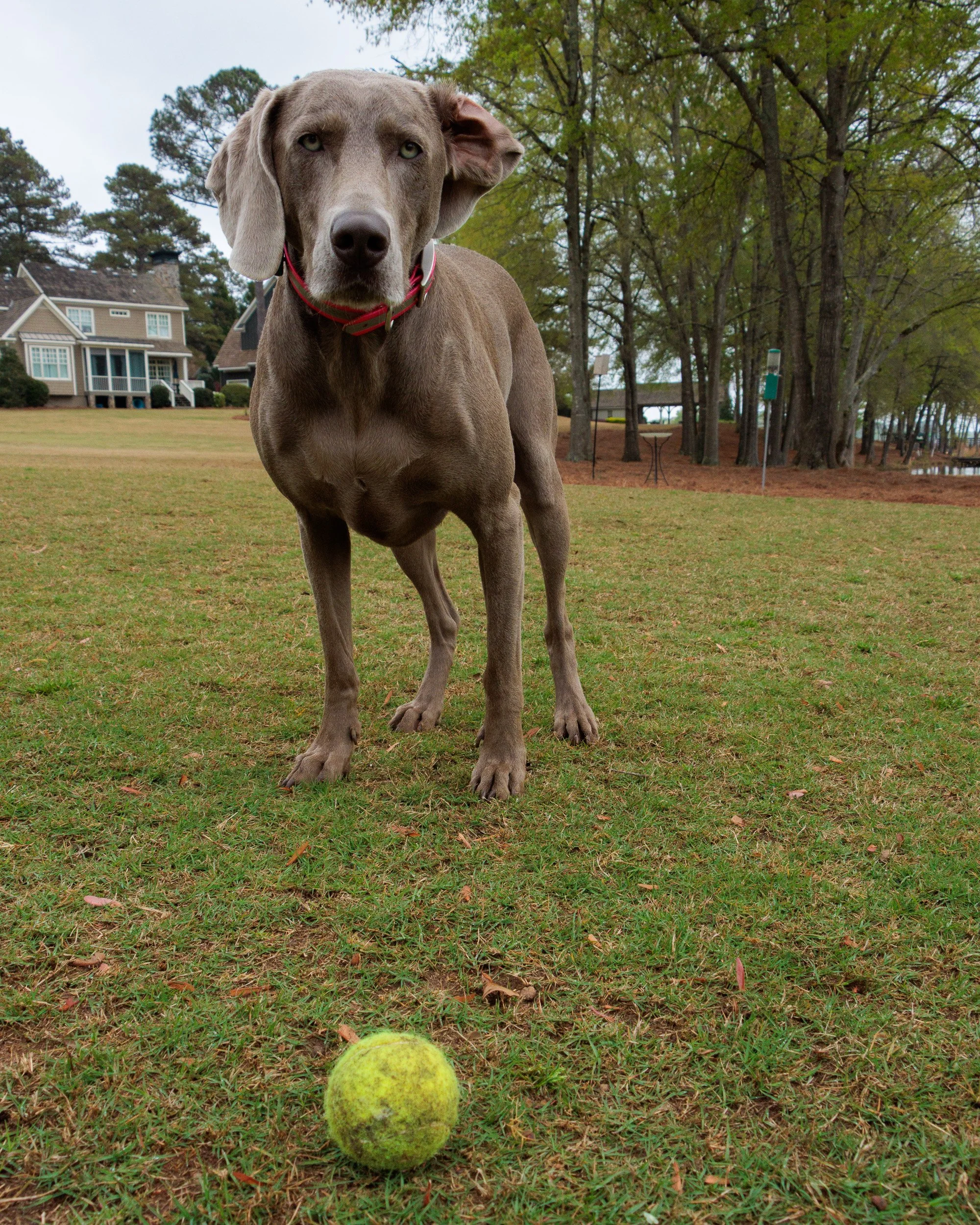 From Snow Day to Soccer Day.-07.jpg