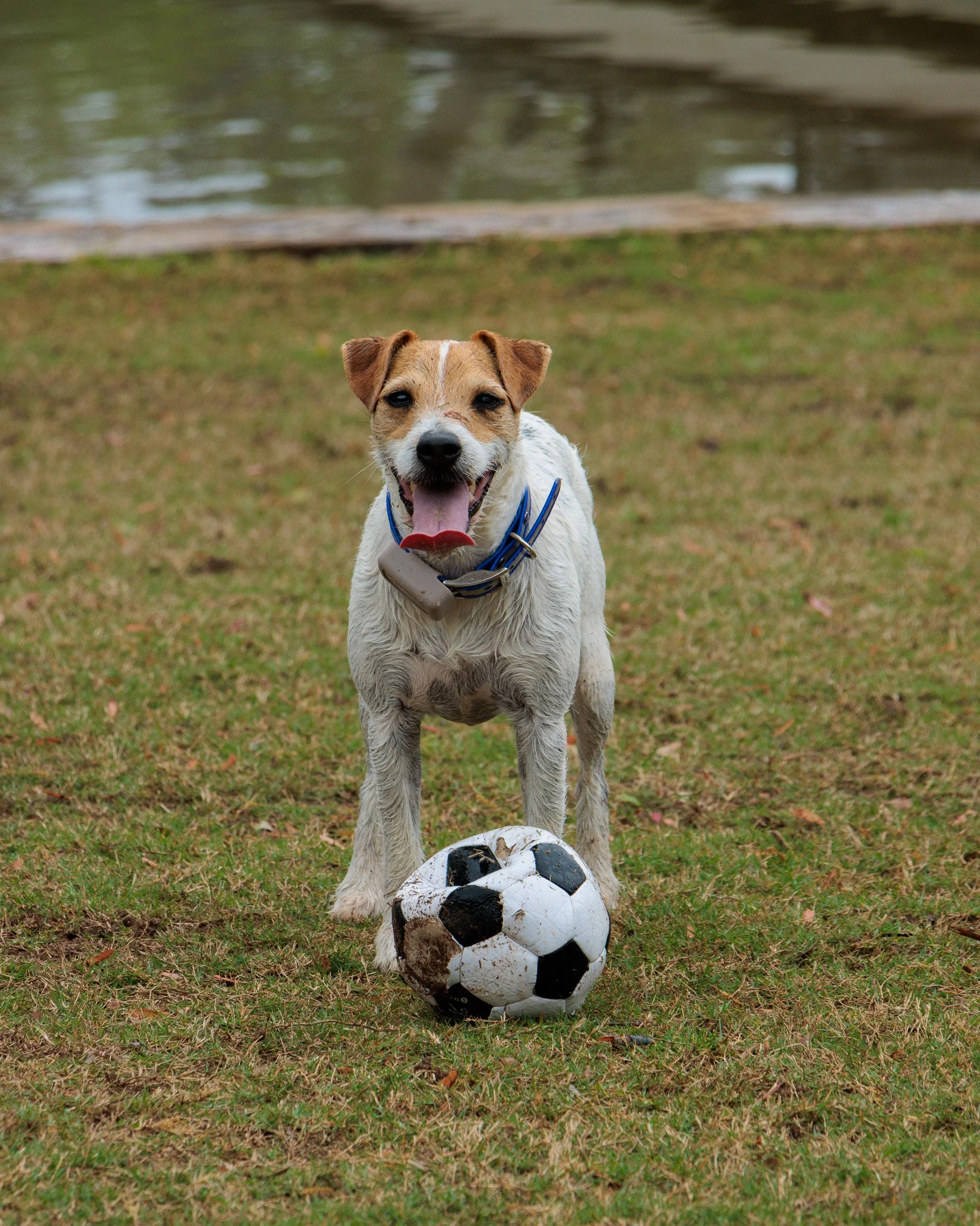 From Snow Day to Soccer Day.-09.jpg