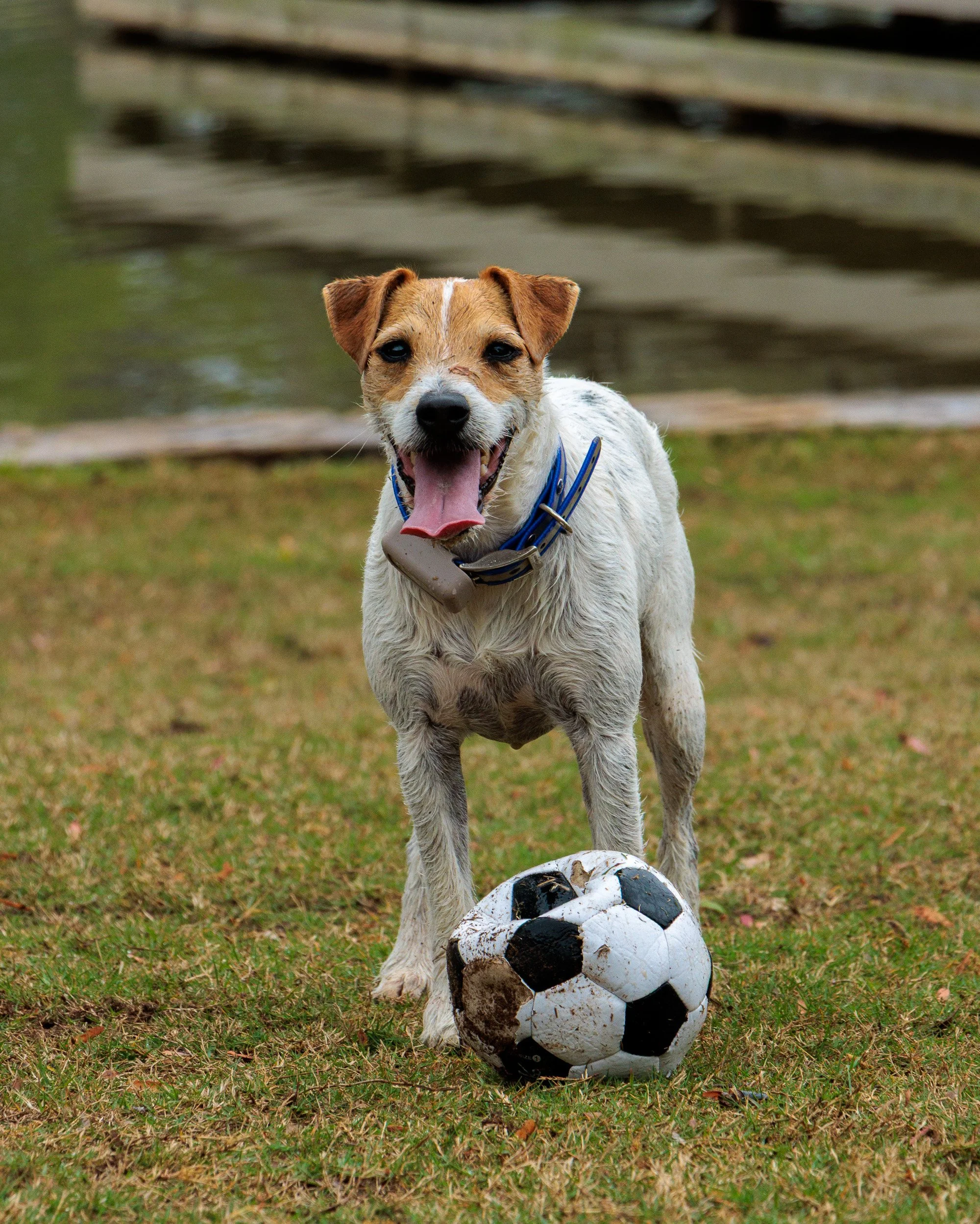 From Snow Day to Soccer Day.-10.jpg