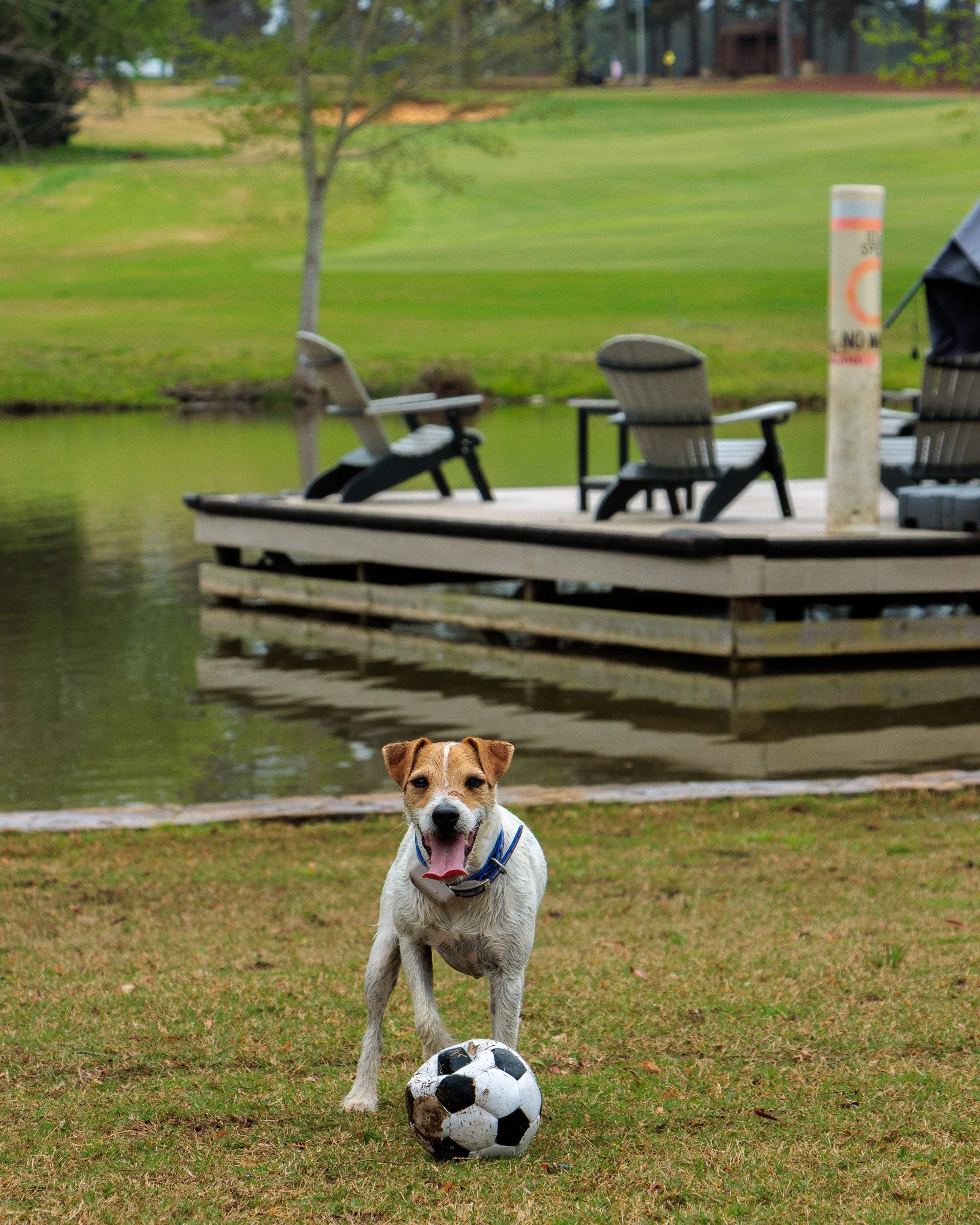 From Snow Day to Soccer Day.-11.jpg