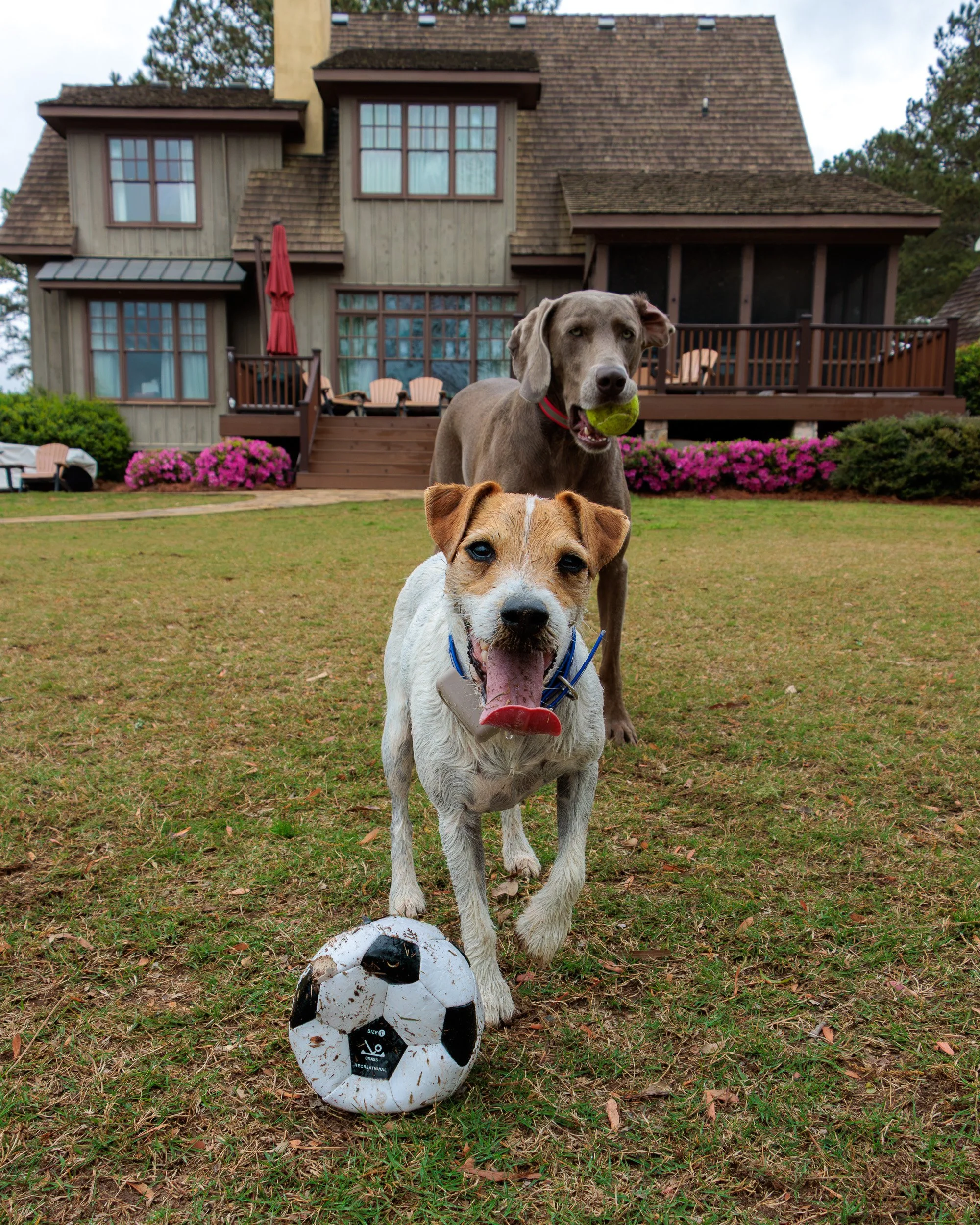 From Snow Day to Soccer Day.-12.jpg